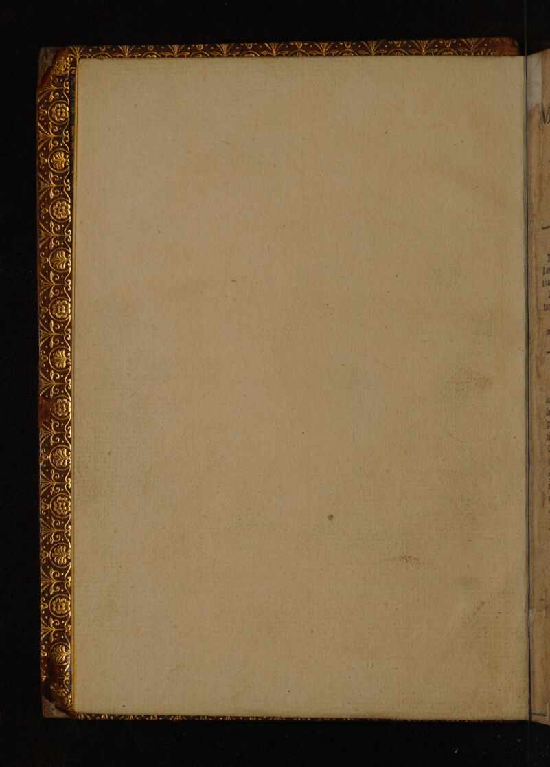 s OY ae se : oy YEAS WS) bot, Das SS is OK Wie 7B