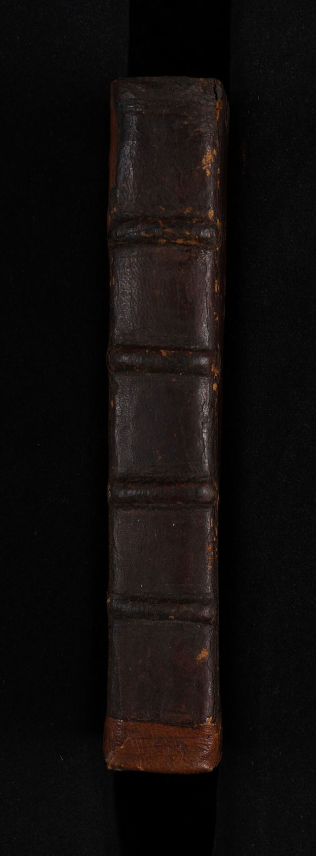 No text description is available for this image