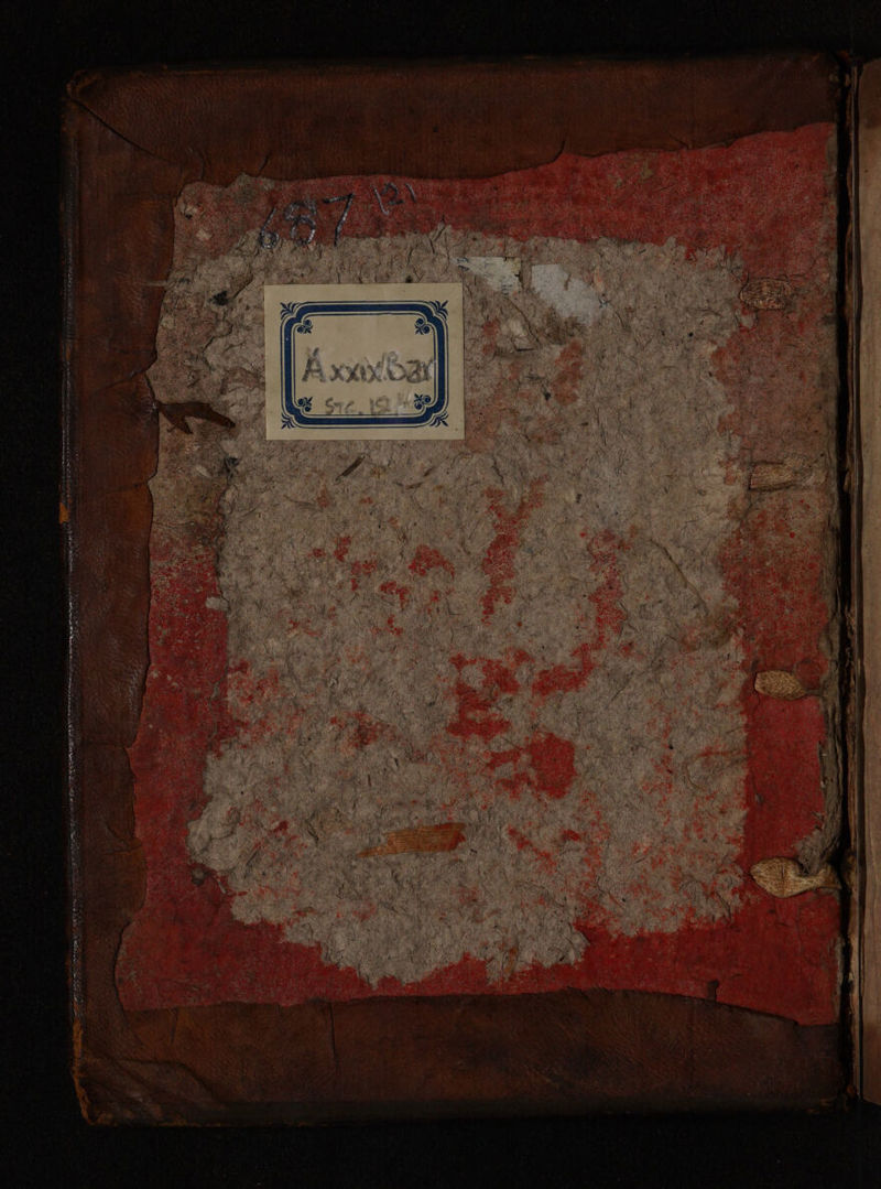 No text description is available for this image