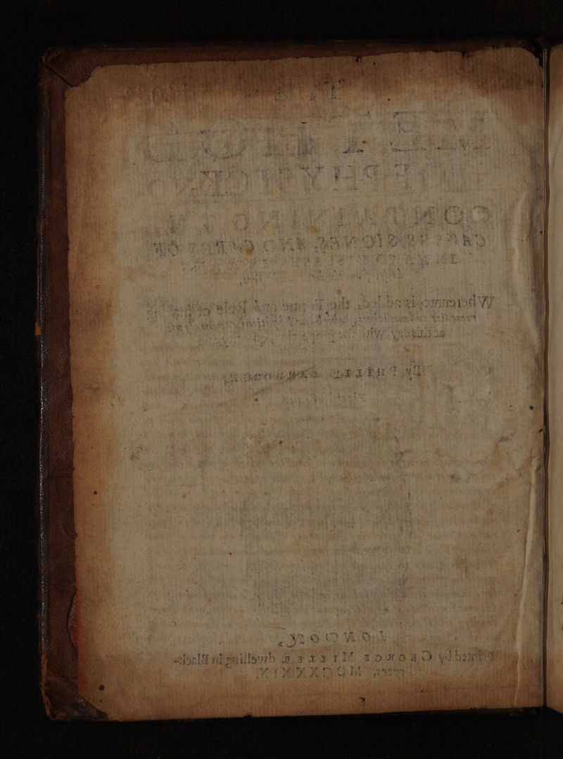 No text description is available for this image