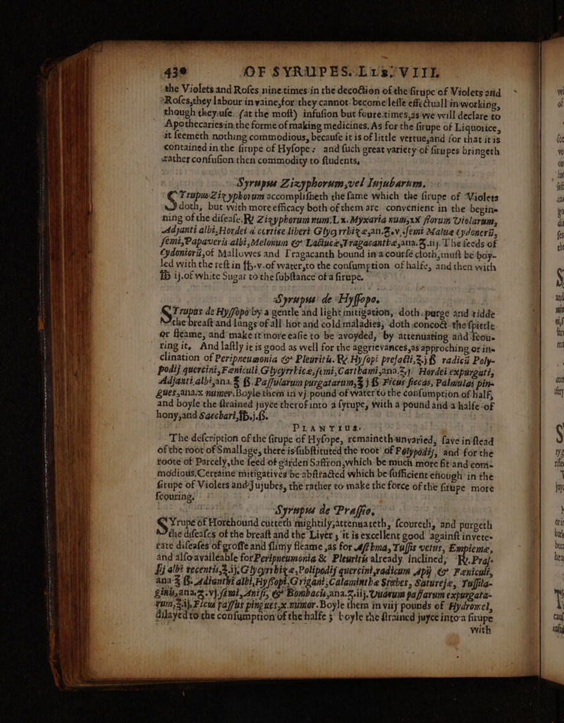 the Violets and Rofes ninetimes in the decoftion ofthe firupe of Violetsatd * *Rofes,they labour in yaine,for: they cannot: become 'lefle effe Qual] in‘working, though theywufe. (at the moft) infufion but feuretimes,as'we will declare to Apothecartesin the forme of making medicines, As for the firupe of Liquonice, it feemeth nothing commodious, becaute it is of little vertue,and for chat iris contained in the firupe of Hyfope: and {uch great variety-of firupes bringeth ather confufion then commodity to fudents, Syrapus Zizyphorum,vel Injubarurs, ) Si. tupus.Z1x ypkorum accomplifheth rhe fame which the ficupe of Violets doth, bute with more efficacy both of them are. convenient in the begins ning of the difeale.Ry Zigyphorum num:L x. Myxaria num,xX florum Vielaram, Adjanti albt.Hordet a cortise libert Glyg rrbize,an.Zev,.femi Male (ydoucrii, femi,Papaveris albi,elonum (7 Lattuce,Tragacantba,ana.&amp; iy. The feeds of Cydontorit,of Malluwes and Tragacanth bound ina courfé cloth mutt be boy- led with the reft in {f.v-of water,to the confumption of halfe, and then with 1b ij.of white Sugar to the fubftance'of a firupe. : Syrupus: de Hyffopo. aayv lip. } QTrupas de Hy Popo by-a gentle and light mitigation, doth. purge and ridde the breaft and lungs of all’ hot and cold maladies, ‘doth conco@ the fpittle- or ficame, and’ make it more ealie to be avoyded, ’ by attenuating ad fou. ring it, And laftly it is good as well for the aggrievances,as approching or ine clination of Peripneumonia &gt; Pleuritis. Re. Hy/opi prefadti,2.i8 radich Poly- podij quercini, Feniculi, Glygyrrbice,femi,Carthami,ana.z.)' Hordei expurgati, Adjantialbi,ana.% §}.Pafularum purgatarum,3 j.&amp; Ficus fiecas, Palaiules pin- Sues ana. numer. Boyle them in vj pound of water to the confumption of half, and boyle the ftrained juyce therofinto a fyrupe, with a pound and a halfe ‘OF hony,and Sgechavi,{b.j.{5. | al , PLANTIUS, iit The defcription of the firupe of Hyfope, remainethunyaried, fave inftead of the root of Smallage, there isfubftituted the root’ of Pélypadéj, and: for the roote of Parcely,the feed of oarden Saffron which: be much more fit'and cori Mmodious,Cerraine mitigatives be abfttaded which be fufficienrchough in the fitupe of Violets andJujubes, the rather co make the force of the Grupe more feouring. © - ee Syrapus de Prafio, ; Ske of Horehound cutcech mightily,attenuareth, fcoureth, and purgeth the difeafcs of the breaft and the Liver , ‘it is excellent good againft invete- and alfoavaileable forPeripneumonia &amp; Pleuritis already inclined, ° Pral: Lj albt recentis,5 ij, Gly cyrrbiz 2, Polipodiy quercint vadicuns Api o° Fenicult, ana-3 (8. ddianthi albi,Fy Sopt.G rigani;Calamintbe Stecbes, Satureje, Taffile- Eins, anag.v) semi, Anifi, &amp; Bombacis,ana.2.iij. Vuavum paflarem expurgata- urn, 2A\ Ficus paffus ping ues,x. numar. Boyle them in viij pounds of Hydromel, dilayed to che confumption’of the halfe 5 boyle che rained juyceinto-a firupe i ie pay gam 2009 with