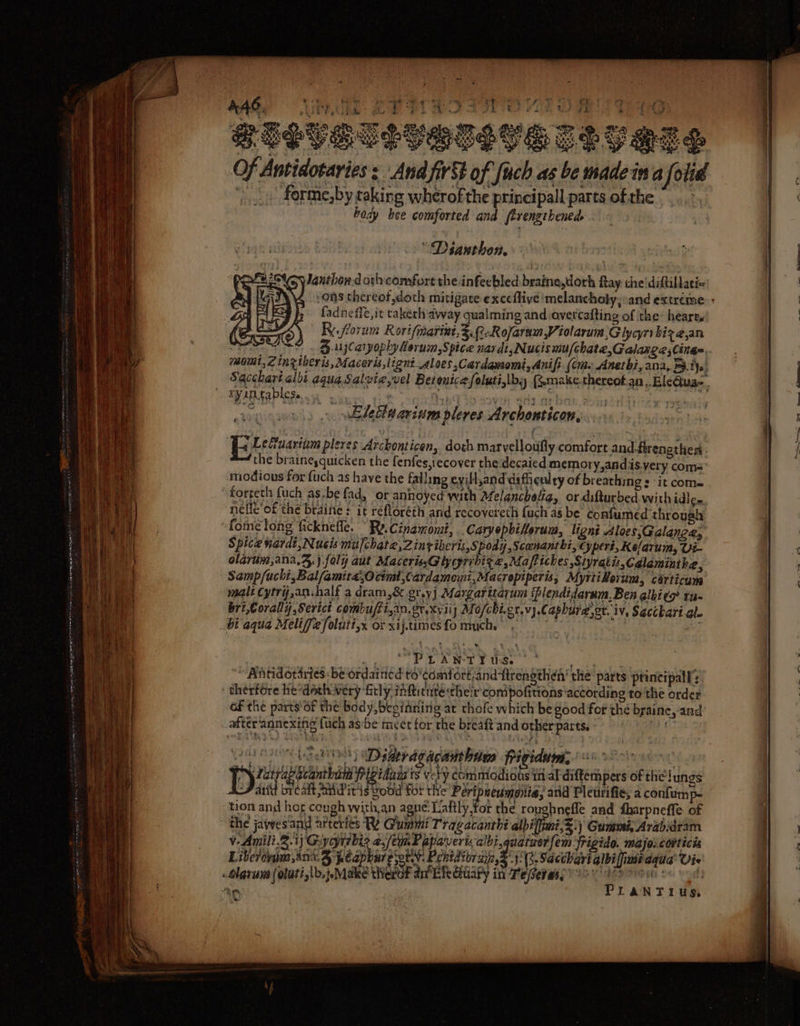 ~~ Poids ak % ¥ aa 446. RSs Aa) Z F v1 oO i ery’ ow pe Teng PISVSTLIGTSTE IT VOTS Of Antidotaries : And fir of fuch as be madein a folid »... forme,by taking wherof the principall parts of the. body bee comforted and firengtbened . a ae ~ A TES carer ET c Tati pS “Deanthon. Dy Jantbon.d oth comfort theinfeebled braine,doth fay: cheidiftillatie’ .ons thereof doch mitigate exceflive'melancholy;-and extreme : fadneife,it taketh away qualming and overcafting of the: heares | “R.florum Rorifmarini, Si-Rofaram Violarum,Glycyri biz ae,an SESE. Be ujCaryophy horum,S pice nardt,Nucis mu/chate,Galaxge,Cings.. mowt,zZ inziberis, Maceris,lignt aloes ,Cardamomi,Anifi (em. Anetbi,ana, is. Sacchart albi aqua Salvie,vel Betenicefoluti,lby (Smake-thereot.gn .EleQua-. we. ry in.tablese oe Lefuartum pleres Arckonticen, doth maryelloufly comfort and.firengthen- the braineyquicken the fenfes,tecover the decaied memory, andis.yery coms modious for fuch as have the falling evill,and difficulty of breathing : it com= forgeth fuch as-be fad, or annoyed with Mfelanchalia, or difturbed. with idlee nefic'o£ thé brdine + it refloréth and recovereth {uch as be confumed throuah “foine long ficknefle. ” Ry. Cinamomi, Caryephiforum, lignt Aloes;Galanga; Spice nardi,Nucis mufchate,Zinziberis,Spody,Scenanthi, Cy pert, Kelarum, Ui- olavum,ana,4,j.faly ait MacerizsGlygribit 2, Maftiches Siyratis,Cdlaminthe, ; Samp/uchi,Bal/amita,O cimt,Cardamomi,Macroptperis, Myrtiherum, cérticum malt Cytry,an.half a dram,&amp; gr.yj Margaritavum ihlendidaram, Ben glbi¢g’ ru- br?,Corally,Serict combu/ti,an. er. Xyiij Me/fcbi.gr.v}.C aphura,ot. iv, Sacckari-gl- bi aqua Meliffefolutt,x or xij.timesfo much. mS i ee ee ee : | “Antid otartes: be ordained to'¢omfort,and-ftrengthen’ the’ parts princi pall: - therfore he “doth very fitly #ARiete their compofitions'according to the order GF the parts’ of the body, beginning at thofe which be good for thé brainc, and after‘annexing {uch as:be meet for the breaft and other parts. - BY ft WOON LE Degerdgacantbtes Ppigidams 6.0 D2 preys idnis ts ve¥'y commiodions it al diftempers of the! ungs arid breast hairy vood For the’ Péripneumonlia, and Pleurifie, a confum “tion and hor cough with, an age Laftly,for the roughneffe and fharpneffe of the jawesand arteries TY Gummi Tragacanthi albiffimi,S:) Gummi, Arabdram v-Amili.2.1j Giyithiz a,/eimPepavericalbi,quatzerfem frigide. majoscorticis Liberovpma anc. 8 jp Caphar sory. Penidior aifz,&amp;°}\(3. Sacchari glbiffimeaqua’ Vie _tlavun (otuti,lb.j.Make Werdk ave fe daary inn Peerm@ay 22 Vasa Mest Se vod hm PLANTIUS. Je