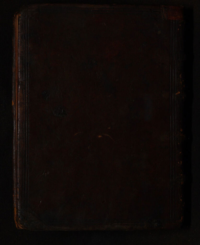 oe: ; ; ~ ann ae wa “ o. . . ? t - “ } : : 3 y oy &amp; =, _ 7 = eo a = ep ? i ; aoe om + ket ad %