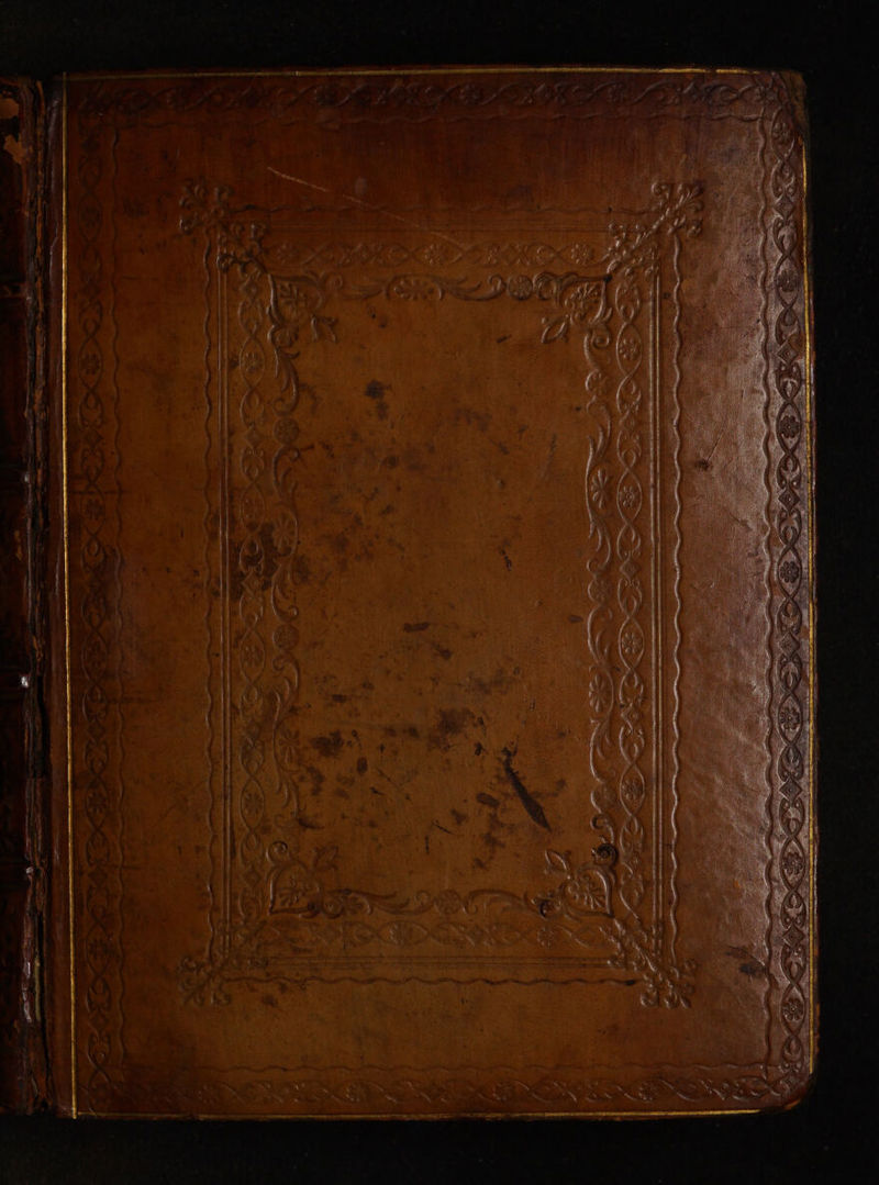 No text description is available for this image