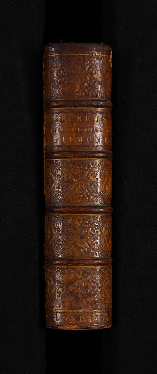 No text description is available for this image