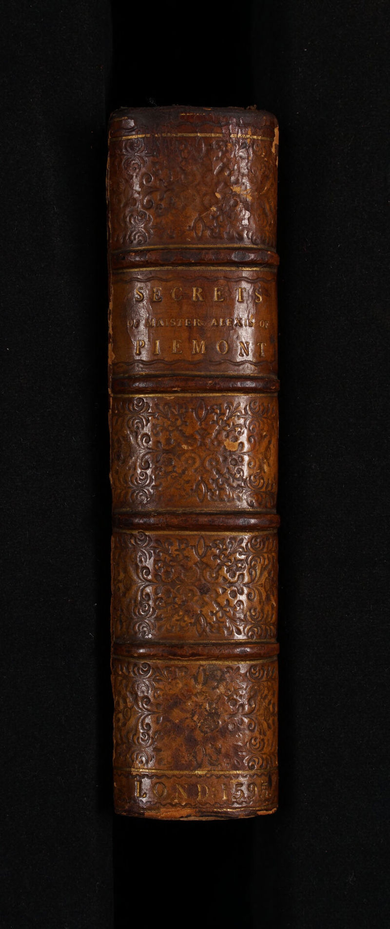 No text description is available for this image