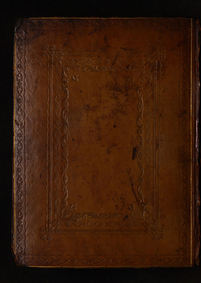 No text description is available for this image