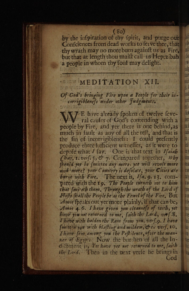 I eR Pe ES Cnet Oe ee ne Le eS See a Oe a people in whom thy foul may delight. MEDITATION “XII corrigtblene[s ‘under other Judgments. (bap.'t: verf. 5, 7. Compared together, Why that [mit eth them, Through the wrath of the Lord of bhve' you not returned to me, faith the Lerd, ver .8, (mitten yan with blafting and mildew, &amp; ce verf VO, God ‘