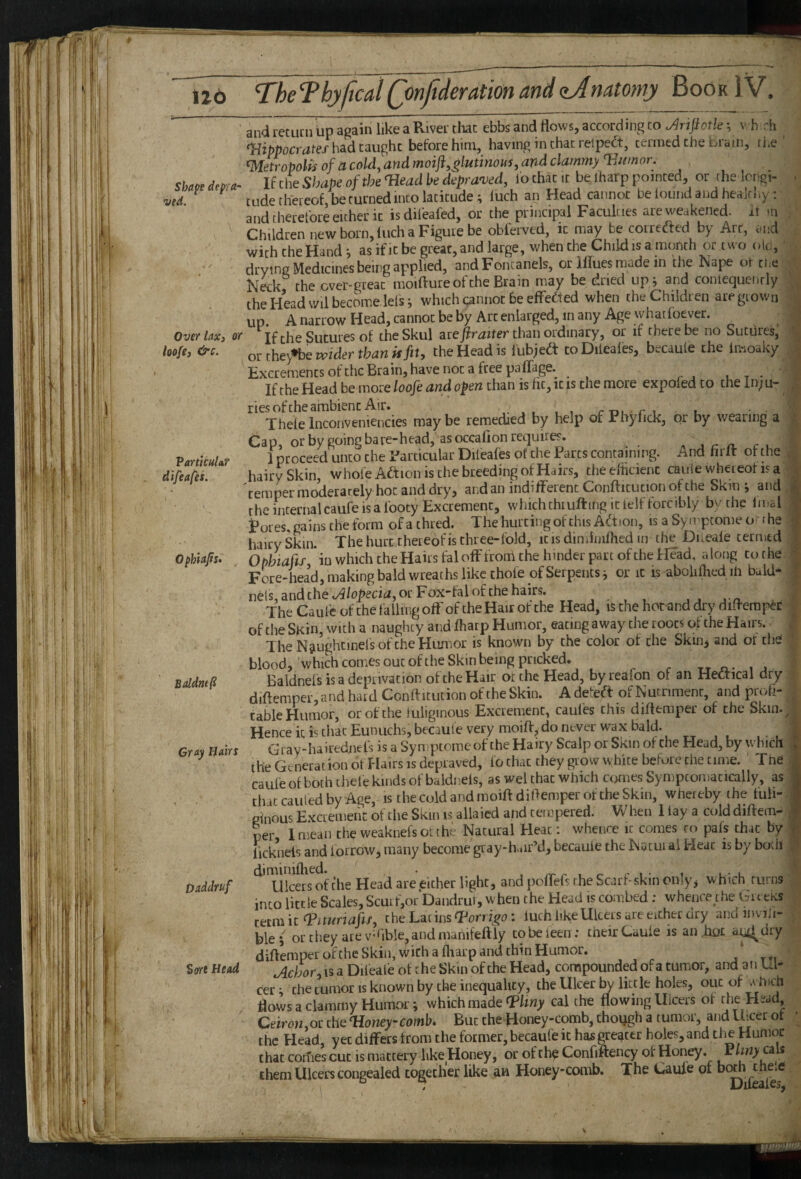 TheThyftcal(jnfiderat'm andaJnatomy Book IV. ■ Shape depra¬ ved. Over laxj or hofe, &c. VarttcuUr difeafes. OphiaJfs» Baldnefi Gray Hairs baddruf Stn^c Head, and return up again like a River that ebbs and flows, according to Mjiotk; v h rh ^ had caught before him, having in chat relpe^t, termed the biam, the metropolis of acold,andmoiii,glutinoM,andclammy T^^^^ _ If Che Shape of the ‘Head be depra^ved, lo that it be lharp pointed, or the Icngi- tude thereof be turned into latitude; luch an Head cannot beloundaudhealrl .y ;■ and therefore either it isdifeafed, or the principal Faculties are weakened, il ui Children new born, luch a Figure be oblerved, ic may be correfted by Art, .-nd with the Hand i as if ic be great, and large, when the Child is a month or two olo, drying Medicines being applied, and Fontanels, or Iflues made in tlie Nape ot the Neck the over-preac moifture of the Brain may be dried up^ and coniequenrly the Head wil become lefsi which cannot be effected when the Children are grown up. AnarrowHead,cannocbebyArceniarged,inanyAgewhatfoever. Ifche Sutures of theSkul are than ordinary, or it there be no Sutures, or they^e wider than Hfit} the Head is lubjeft coDileales, becaule the imoaky Excrements ofchcBrain,have not a free paffage. i t • If the Head be more loofe and open chan is fit, it is the more expoied to the In^ u- riesofche ambient Air. c-ot u Thelelnconveniencies maybe remedied by help of Phyfick, or by wearing a Cap, or by going bare-head, as occalion requires. ru 1 proceed unco the Particular Difeafes of the Parcs containing. And fir It of the hairySkin, whofeAftion is the breeding of Hairs, cheefticienc cauie wheieof isa tempermoderarely hoc anddry, and an indifferent Confticucion of the Skin j and the internalcaufe isa Ibocy Excrement, whichchrulling iclelf forcibly by the Imd Pores, gains the form ofathred. The hurting of this Action, is a Syn'pcome ofhe hairy Skin. The hurt thereof is three-fold, it is diminilhed in the Dneale termed Ophiafis in which the Hairs falofffroiii the hinder part of the Head, along to the Fore-head, making bald wreaths like thofe of Serpents ^ or it is abolilhed ifi bald* nets, and the ./4/p]>ecia, or Fox-fal of the hairs. , . , , , . , n. The Caufe of the falling off of the Hair ot the Head, is the hooand dry diflempec of the Skin with a naughty and lharp Humor, eating away the roots of the Hairs.. The N^ughcinels of the Humor is known by the color of the Skin^ and ot the blood, which comes out ofthe Skin being pricked. tt i j Baldnefs is a deprivation ofthe Hair ot the Head, by reafon of an Hedtical dry diftemper, and hard Conflitution of the Skin. A defeft of Nutriment, and profi¬ table Humor, or of the tuligmous Excrement, caules this diflemper of the Skin. Hence it ic tliac Eunuchs, becaule very moifl:, do never w’ax bald. Gray-hairednefs is a Syn ptomc of the Hairy Scalp or Skin ofthe Head, by which the Generation of Hairs is depraved, fo chat they grow white before the time. ' Tne caufe ot both thele kinds of baldnels, as wel that which comes Sympcomacically, as that caufed by Age, is the cold and moift diflemper ot the Skin, whereby the tuli- piiiousExciemehc ofthe Skin is allaied and tempered. When 1 lay a cold diftem¬ per I mean the weaknefsolthe Natural Heat: whence it comes ro pafs chat by licknels and forrow, many become gray-h.iir’d, becaule the Nacui ai Heat is by bocii Ulcersof the Head are either light, and poftef? the Scarf-skin only j which turns into little Scales, Scuif,or‘Dandrur, when the Head is combed ; whence ihe Gi t exs zctcniz T^imriafif, the LacinsOPerri^o: luch like Ulcers are either dry and invifi- ble 5 or they ate v^iible^ and manifeftly cobe leen: tneir Cauie is an .hot a^dry diftemper of the Skill, with a fliarp and thin Humor. jichor. is a Dileafe ot the Skin of the Head, compounded of a tumor, and an Ul- the tumor is known by the inequality, the Ulcer by little holes, out of .vinch I T: lU I flows a clammy Humor; which made cal the flowing Ulcers ot Head Ceiron.or the ‘Honey-comb* But the Honey-comb, chough a tumor, and Utcer ot the Head, yet diflrers from the former, becaufe it haj; greater holes, and the Humor that corfies cut is mattery like Honey, or of th^ Confiftency of Honey, them Ulcers congealed together like an Honeycomb. The Caufe of