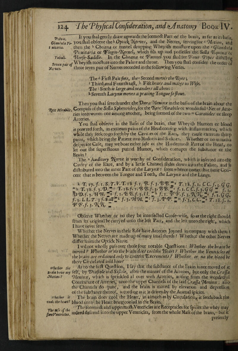 I2i|. I he ‘^Phyftcal Confideration, and <iAnatomy Book IV* Pelvis Glandulx t uitaria. ] It you flial gently draw upwards the formoft Parc of the brain, as far as ics bafis, I'pi- you mal obfervc the k Opticl^ ISlerveSy and the Nerves, lerviiig’for a ^lotion, and then the ^ Choana or tunnel dropping Wheyiih moillureupon rhe ^Qlandula ^tiuitana or Vlegm-%grneli which fils up and poflelfes the Sella ^qinna or Tftbuli. *Horfe-Saddle, In cbe Choana os: funnel you (hal iee ^ipes dilWWma Seven pair of 'V^heyifli moifture into the Palate and throat. Then you ftial confider the order of Nerves. ^ ^ thole leven pair of Nerves recorded in the following Vertes. The Firft Pair Jee/, the e Second moWf the T£yes; fXhird/inctFourth^ ¥\khearsandmabesmWije, Tfhe i Sixth is large and tvanders allabom: Seventh Larynx moves a prating Tougue fo flout, % Then you Ihal fearch under the Dura ^eninx in the bafi s of rhe brain about the Pete MkabiUi Corapafs of the SeBa Sphenoider^fot the ‘j^ete ^Mirabile or wonderful J Net of Arte- * ries interwoven one among another, being formed of the two Carotides or lleep Arteries. You fhal obferve in the Bafis of the brain, that Wheyifli Humors or blood is powred forth, in excream pains oftheHeiid coming with liiflammation, which while they feek CO go forth by the Cavit .es of the Ears, they caufe extream fharp pains, which bring the Patient into MadneJs and S ^cki .es. ^'litther or no in mcii a defperate Cafe, may we boar either fide or the Hindermofi- Part of the Head, to let out the fuperfluous putrid Humor, which corrupts the lubitance of the Brain? The ^Auditory T^rve is worthy of ConCderation, which is inferted into the Cavity of the Bare, and by a little Channel Aides dov/n into the Palate, and is diftributed into the inner Part of the Larynx: from whence comes rhac lame Cpn- cenc that is between the Tongue and Teeth, the Larynx and the LUngs. Obferve Whether dr no they be interfeffed Crofe-wife, fo as the right Ihould from its original be carryed unco the left Parc, and the left unto the right, which I have never fee'n, . Whether the NerVes in their Pvift have Arteries Joyned in company with them I Whether the Nervesare made up of many Imal threds ? Whether the other Nerves difFer'from the Cfpcidk Nerve. Iwilnoc wholly pals over thofe four notable Queftions: Whether the bram be moved? Whether or rlo the hr din ddel cool the Hedrt ? Whether the Ventricles the brain are ordained only to conteiri Excrements ? Whether or no the blood be there Circulated arid hds»? ‘ ' tvhtthef the As to the firft Queftion, 1 fay that the fubftance of the Erajn is not moved of it Brdn have any felf, by Diaflole and Siflole, after the manner of the Arteries, but only the Crafl'a CMotim? ^leninxy which is fprinkled al over with Arteries, arifing from the wo.nd^rful Contexture of Arteries,’ unco the' upper Channels of the laid Crajja ^eninx; alio the Channels do pane, and the brain is moVed by elevation and deprefiiou of the lubflance cliereof, according ask is driven by the Animal fpirics. irheiher it The brain does cool the Heart,' in almiichasby Circu^aciofiy it lends back f ha blood unco'the Heart being cooled in the Brain. ' “ ^ rr, Theforemoft and uppevmoft Ventricles are Heceptacles for fpirics: the whey may foreFmXlts deicend into the upper Ventrkles, from the whole Mafs of the brain, • but it ’ ’ prefently