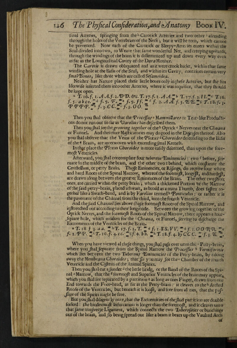 ^6 The FhyJIcal Conjiderationyond mtomy Book 1 V* Imai Arteries, fpringing from the^Carotick Arteries aixl two other iafcendiiig through the holes of the Vercebraes of the Neck j but it will be corn, which cannot be prevented. Now each of the Carotick or Sleepy-Artei ies enters wichm the Scul divided into cw’o, to Weave chat fame wonderful Net, and creeping upwards, through the windings of the brain it is diireminaced up and down every way even as far as the Longitudinal Cavity of the T)ifra y\.enmx. The Carotis is drawn obliquated and as it were crook backt, within that fame winding hole at the Bafts of the Scul, and within its Cavity, concaiiies certain very fmal ^ones, like thole which are called Sefamoidea. Neither has Nature placed chel'e little bones only in chefe Arteries, but Ihe has likewife inferted them into other Arteries, where it was requilice, ciiat cheylhouid be kept open. ^ T. I o f. I. tA A.f. 2. T? T). T. 17. /.5- abce“^ /. 5. F. f-S-ff- Z ^ (pfptpcp.fh f,^,cc.z^ f.3.00. z f.i.AA.z^ Ti 17./. 2.12.;;= T.16. f. 2. AA. T.18./. 2* Then you flial oblerve that the ^roceffuf a jJlammiUarejor Teat-IikeProdufti- • ‘ ons do not run out fo far as ^arolius has d^cribed them. Then youJhal leeche^reivzw^ together of the^ Oprick = Nerves near the Cboana or Funnel. And therefore Majfticatones may dogood in the Di^^es thereof. Alio you lhal obferve char the Veins of the^F/ear/z/^Choroide/deicendingco the Balis of the « Brain, are interwoven with exceedingjmal Kernels. In chjc place the <P/ ’ar»jCbomde/ is more eafily difeerned, than upon the fore- moft Ventricles. Afterward, you ^hal contemplate four tuberous ^minencies: two f before, /ci- tuate in the middle of the brain, and the other twos behind, which conjliture the Cerehe2/wOT, or petty Brain. Tho^fe Eminencies, or Rijings, do receive four white and hard Roots of the Spinal Marrow, whereof the foremq^, longejl, and hard^, are drawm along between the grearrer Eminences of the Brain. The ocher cwojhorc ones, are carried within the petty brain i which a thickened Portion bf the 'Marrow of rhe jaid petry-brain, placed athwart, as broad as a mans Thumb, does f^en to¬ gether like a Swath-band, and is by Varolius termed^ (Ponticulus : or rather it is the pavement of the Channel from the third, into thefourth Ventricle. ^ And thejiud Channellies above th^e foremq/l Roots of the Spinal Marrow, and i^retched out according to their longitude. Between the grow ing cogecliei of the Optick Nerves, and the toremo^ Roots of the Spinal Marrow, there appears a four- Jquarehcle, which is taken for the ^Choana, or Funnel, Jerving to dj|chdrge the Excrements of the Ventricles of the Brain. a T. 18 / 3.^^. Z i7*f*i*T.  c/, I.S5.VV. •*‘1/. i.OOT{% c /. z^T.i6.f.4.cc. zsfA.bb. ;hXi8./.4.t7ccc. When you have viewed al th^’e things, youjh^l pafs over unto the«Petty* brain, where youJhaljfeparate from the Spinal Marrow the ^roceffus ^ Vtrmifovmis which lies between the two Tuberous ^minencies of the Petty-brain, by caking away the M.emhrana Choroides ■, that Jo youmay Jee the*: Chamber of the fcurch Ventricle and the Ci^ern of the Animal Spirits. Then youjhal cut ajunder ^ the little Bridg, or the Band of the Roots of the Spi¬ nal e Marrow, that the ^ foremo/l and Superior Ventricles of the brain may appear, which you fhal lee leparated by a partition e as long as ones Finger, drawn fioiii one End towards the Fore-head, as far as the Petty ^brain: it cleaves to the ^ Arched Roofeof the Ventricles, but beneath it is lo(^, and free from al ties, chacthepar- ,Jdge of the Spirits might be free. ^ But you fhal diligent iy nore,that the Extremities of thejaid partition are double forked: the hindermt^ bifurcation is longer than the foremo(f, and it cleaves unto thatJame cra^lverj,e Ligament, which connects the two TjAnerofities or bunchings out of the brain, and/o beingjpread out like a beam it bears up the Vaulted Arch of