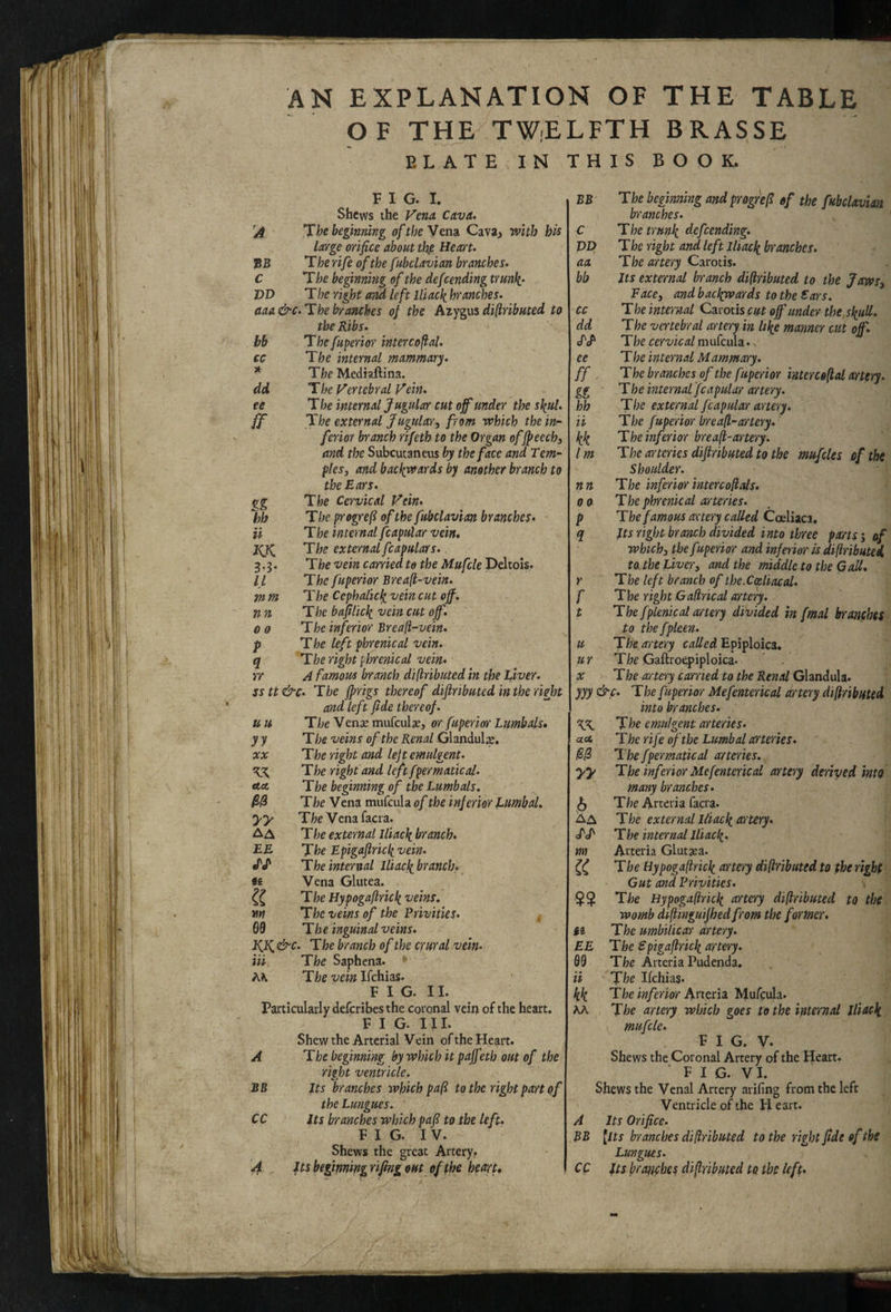 OF THE TW.ELFTH BRASSE ELATE IN THIS BOOK. F I G. I. Shews the Venn Cwva. A The beginning of the Vena. Cava, with his large orifice about thfi Heart. BB T he rife of the ftbclavian branches, c The be^nning of the defeending trunk' T>D The right ar^ left lUack branches. aaa&c.The b-ranches of the Azygns difiributed to the Ribs. bb The fuperior intercofal. cc The internal mammary. * The Mediaftina. dd The Vertebral Vein, ee The internal Jugular cut off under the skul. ff The external Jugulari from which the in¬ ferior branch rifeth to the Organ offpeech, and the Subcucaneus by the face and Tem- plesj and backwards by another branch to the Ears. gg The Cervical Vein. hh The progref of the fubclavian branches. ii The internal fcapular vein. The external fcapulars. 3.3. The vein carried to the Mu fete Deltols. ll The fuperior Breaft-vein. mm The Cephalick vein cut off. n n The bajilick vein cut off. 00 The inferior Breaft-vein. p The left phrenical vein, q The right phrenic al vein, rr A famous branch diftributed in the Liver, sstt&c. The fprigs thereof difiributed in the right and left fide thereof. u ti The Venae mufculae, or fuperior Lumbals, yy The veins of the Renal Glandule. XX The right and left emulgent. X.K T he right and left fm matte al. AA The beginning of the Lumbals. The Vena mufcula of the inferior Lumbal, yy Tfce Vena facia. A A T he external lliack branch. EE The Epigaflrick vein. J'J' The internal lliack branch. «€ Vena Glutea. The Hypogaftrickveins. m The veins of the Privities. , 69 The inguinal veins. The branch of the crural vein. Hi The Saphena. ' The veinKchias. FIG. II. Particularly deferibes the coronal vein of the heart. FIG. III. Shew the Arterial Vein of the Heart. A The beginning by which it paffeth out of the right ventricle. BB Its branches which pa(i to the right part of the Lungues. CC Its branches which paR to the left. FIG. IV. Shews the great Arteryf 4 its beginning rifing out of the heart. BB The beginning and progrefi of the fubclavian branches. € The trunk defeending. VP The right and left lliack branches, aa The artery Carotis. bb Its external branch difiributed to the Jaws^ Facey and backwards to the Ears, cc T he internal Carotis cut of under the skud. dd The vertebral artery in like manner cut of sTcP The cervical m ufcula. ee The internal Mammary, ff The branches of the fuperior interceflal artery, gg The internal fcapular artery, hh The external fcapular artery, ii The fuperior breall-artery, kk The inferior breaft-artery. Im The arteries difiributed to the mufcles of the Shoulder. Tin The inferiorintercoflals. 00 The phrenical arteries, p The famous artery called CoAiaca. q Jts right branch divided into three parts j of whichy the f iperior and inferior is diflributei to. the Liver, and the middle to the Gall, r The left branch of the.CceliacaU f The right Gaflrical artery, t The fplenicat artery divided in fmal branches to the fpleen. u The artery called Epiploica. ur The Gaftroepiploica. X The artery earned to the Renal Glandula. yyy &c. The fuperior Mefenterical artery difiributed into branches. The emulgent arteries. OLA Therife of the Lumbal arteries. R0 The fpermatical arteries, yy The inferior Mefenterical artery derived into many branches. 5 The Arteria facia. Aa The external lliack artery. /J' The internal iH ack. tm Arteria Glutaea. The Hypogafirick artery difiributed to (he right Gut and Privities. $$ The Hypogafirick artery difiributed to the womb difiinguijhedfrom the former. The umbilicar artery. EE The Spigafirick artery. 99 The Arteria Pudenda. ii The Ifehias. kk The inferior hnesia Mufcula. KK The artery which goes to the internal lliack mufcle. F I G. V. Shews the Coronal Artery of the Heart. F I G. VI. Shews the Venal Artery arifing from the left Ventricle of the H eart. A Its Orifice. BB [its branches difiributed to the right fide of the Lungues. CC Its branches difiributed to the left.