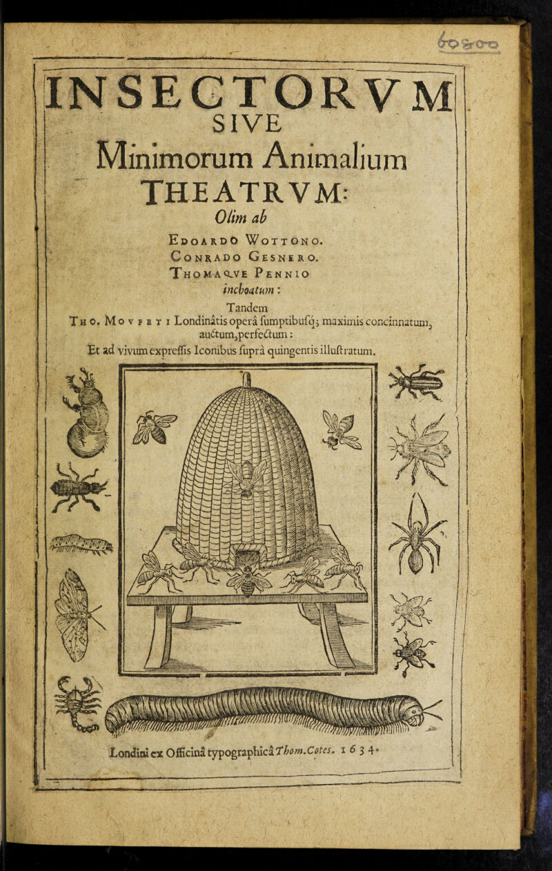 I >• Bj ■ SIVE Minimorum Animalium THEATRVM Olim ab Edoardo Wottono, Conrado Gesnero. Thomaq.ve Pennio inchoatum: Tandem Tho.Movfeti Londinatis opera fumptibufqj maximis concinnatum;, au(Stum3perfedum: Et ad vivum expreffis Iconibus fupra quingentis illuftratum. Londimcx Officina iypographicaT^^w.C^fw. x 6 3 4.