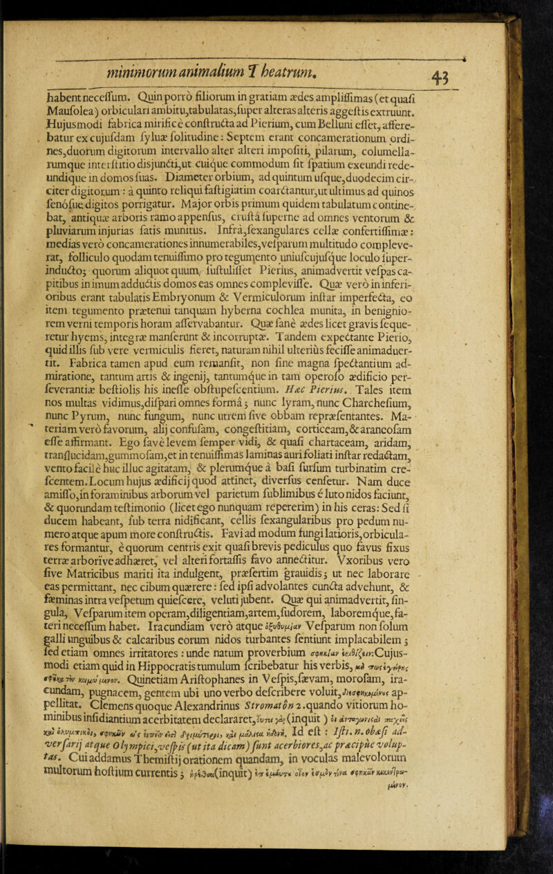 habentneceflum. Quinporro filiorum in gratiam «desampliffimas (et quafi Maufolea) orbiculari ambitu,tabulatas,fiiper alteras alteris aggeftisextruunt» Hujusmodi fabrica mirifice conftruda ad Pierium, cum Bellum effet, affere¬ batur ex cujufdam fylua? folitudine: Septem erant concamerationum ordi- nes,duorum digitorum intervallo alter alteri impofiti, pilarum, columella- mmque interftitio disjundi,ut cuique commodum fit fpatium exeundi rede- undique in domos fuas. Diameter orbium, ad quintum ufque,duodecim cir¬ citer digitorum: a quinto reliqui faftigiatim coardantur,ut ultimus ad quinos fenofue digitos porrigatur* Major orbis primum quidem tabulatum contine¬ bat, antiquae arboris ramoappenfus, cruftafuperne ad omnes ventorum & pluviarum injurias fatis munitus. Infra/exangulares cellas confertiffimse; medias vero concamerationes innumerabiles,vefparum multitudo compleve¬ rat, folliculo quodam tenuiffimo pro tegumento uniufcujufque loculo fuper- indudo; quorum aliquot quum/ luftuliffet Pierius, animadvertit vefpas ca¬ pitibus in imum addudis domos eas omnes compleviffe. Quas vero in inferi¬ oribus erant tabulatis Embryonum & Vermiculorum inftar imperfeda, eo item tegumento prastenui tanquam hyberna cochlea munita, in benignio¬ rem verni temporis horam alfervabantur. Quas fane sedes licet gravis feque- retur hyems, integrse manferunt & incorrupta. Tandem expedante Pierio, quid illis fub vere vermiculis fieret, naturam nihil ulterius feciffeanimaduer- tit. Fabrica tamen apud eum remanfit, non fine magna fpedantium ad¬ miratione, tantum artis & ingenij, tantumque in tam operofo asdificio per- feverantfe beftiolis his inefle obftupefcentium. Hac Pierius» Tales item nos multas vidimus,difpariomnesformas nunc lyram, nunc Charchefium, nuncPyrum, nunc fungum, nunc utrem five obbam reprasfentantes» Ma¬ teriam vero favorum, alij confidam, congeftitiam, corticeam, &araneofam effe affirmant. Ego fave levem femper vidi, & quafi chartaceam, aridam, tranflucidam,gummofam,et in tenuiffimas laminas auri foliati inftar redadam, ventofacile huc illuc agitatam, & plerumque a bafi furfum turbinatim ere» fcentem.Locumhujus a?dificijquod attinet, diverfus eenfetur* Nam duce amiffo,in foraminibus arborum vel parietum fublimibus e luto nidos faciunt, & quorundam teftimonio (licet ego nunquam repererim) in his ceras: Sed fi ducem habeant, fub terra nidificant, cellis fexangularibus pro pedum nu¬ mero atque apum more conftrudis» Favi ad modum fungi latioris,orbicula¬ res formantur, equorum centris exit quafi brevis pediculus quo favus fixus terrse arborive adhseret, vel alteri fortaflis favo anneditur* Vxoribus vero five Matricibus mariti ita indulgent, praeferam grauidisj ut nec laborare eas permittant, nec cibum quasrere: fed ipfi advolantes eunda advehunt, & feminas intra vefpetum quiefeere, veluti jubent* Qua? qui animadvertit, fin- gula, Vefparumitem operam,diligentiam,artem,fudorem, laboremque,fa¬ teri neceffum habet. Iracundiam vero atque ofrjlvpi** Vefparum nonfolum galli unguibus & calcaribus eorum nidos turbantes fentiunt implacabilem $ fed etiam omnes irritatores : unde natum proverbium wkUv k^smCujus- modi edam quid in Hippocratis tumulum feribebatur his verbis, rra$ ty&pHg wuatuyoi'. Quinetiam Ariftophanes in Vefpis,fasvam, morofam, ira¬ cundam, pugnacem, gentem ubi uno verbo deferibere voluit, ap¬ pellitat, Clemens quoque Alexandrinus Stromaton 2 .quando vitiorum ho¬ minibus infidiantium acerbitatem declararet,^™ (inquit) u&n*pvtt& Yjfj. oWy.TiKei^ vtplixuv &£ haVHP hoi xifo [X&hlScl HJbvti, Id Cft » ijll» 71» obdjl ver farij atque 0 ly mpcijvcfyis (ut ita dicam) fmt acerbi ores^ac prAcipue volup- taf* Cui addamus Themiftij orationem quandam^ in voculas malevolorum multorum hoftium currentis 5 »pt$«(inquit) 7* om iryhvy* #fwc2rwjw7p«-