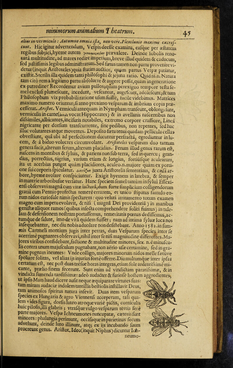 alius in vermiculo: Autumno omnia, ijla^ non ver e.Plenilunio maxime excref- cunu Hic igitur advertendum, Vefpisdeefle examina, eafque per jeftatem regibus fubjici,hyeme autem yjyauxuKfciTictv pra?valere. Deinde lobolis reno- uata multitudine, ad mares redire imperium,breve illud quidem & caducum, fed juftiffimis legibus adminiftratum.Sed fetus tamen non partu provenire vi¬ detur (inquit Ariftoteles)quia ftatimaudior, qu*im partus Veipaj patiatur, exiftit.Stcrilisilla quidem tanti philofophi & jejuna ratio. Quid ni. n. Natura tam cito rem a legitimo partu abfoluere & augere poffit,quam in generatione ex-putredine'Recordemur avium pullos,quam perexiguo tempore teftafe- melexdufiplumefcunt, incedunt, -vefcuntur, augefcunt,adolefcunt,&tum PhiJofophum vix probabili ratione ufumfuifle, facile videbimus. Matrices maximo numero oriuntur^ anno proximo vefparum & imbrium copia pra?-^ cefferat. Ariftot. Vermiculi antequam in Nympham tranfeunt, oblongi iunt, vermiculis in carne(4yA^ vocat Hippocrates) & in avellanis nafcentibus non difsimiles,albicantes,incifurisnotabiles, extremo corpore crailiore, LineaX nigricante per dorfum tranfeurrente, fine pedibus, non repentes, fed huc illuc volutantes atque moventes. Depofito fetu tenui quadam pellicula cellas obveftiunt, qua ubi ad perfedionem ducuntur perfrada, egrediuntur in lu¬ cem, & a biduo volucres circumvolant. Anftoteles vefparum duo tantum genera facit,alterum ferum,alterum placidius. Ferum illud genus rarum eft, nafcens in montibus &fyluis, &pariens non fub terra, fed in quercu 5 gran- dius, porrectius, nigrius, varium etiam & longius, fortiufque aculeatum, ita ut acerbius pungat quam placidiores, aculeo.n.majore quam ex porti¬ one fui corporis fpiculatur. a/st i$<n juxta Ariftotelis fententiam, &csefia ar¬ bore, hyeme avolare confpiciuntur. Exigit hyemem in latebra, & femper in materie arboribufue verfatur. Hanc fpeciem femel tantum in fylua Effexi- enfi obfervavi magna cum vita? iaCiura,dum forte fimplicium colligendorum gratia cum Pennio profeCtus temere errarem, et unico ftipatus famulo eo¬ rum nidos curiofule nimis fpeCtarem: quo veluti irritamento totum examen magno cum impetu evolavit, &nifi (magna Dei providentia ) in manibus jgenifta? aliquot ramos (quibus infeCtacomprehendere foliti fuimus) intule- lam & defenfionem noftram portafiemus, temeritatis poenas dediffemus,ac- tum^ue de falute, imo de vita quidem fuiffet 5 nam ad intima fylua? loca nos infequebantur, nec diu nobisaduolare nondefiftebant. Anno 15 8 2 .in fum¬ eis Cartmeli montium jugis inter petras, duas Vefparum fpecies inter fe acerrime pugnantes obfervavi,nihilinter fe nifi magnitudine differentes.Ma- jores viribus confidebant,faCtione & multitudine minores, fex. n.eminufcm lis contra unum majufculum pugnabant,non aerio ufe certamine, fed in gra¬ mine pugnam ineuntes: Vnde colligo, majores minorum nidos meile fetuve fpoliare folitas, vel alias ijs injurias forte offerre. Diu multumque inter ipfas certatum eft, nec poft duas trefue horas integras,etiam fole ardentifsime mi¬ cante, pra?lio finem fecerunt. Sunt enim ad vindictam paratifsima?, &in vindiCia fumenda tardifsima?: adeo audaCter & furiofe hoftem aggredientes, ut ipfis Mars haud dicere aufit neque ^quiparare virtutes fuas: tam miram audacia indolem tantillis beftiolisinftillavit Deus, tam animofos fpiritus natura infevit. Duas item vefparum ipecies ex Hungaria & agro Viennenfi acceperam, tali qua¬ lem vides figura, dorfis luteo atroquevarie piClis, corniculis iiuicpilofis,illi glabris 5 vtrafque vulgo vefparum tertia fere parte majores. Vefpa? Ichneumones nuncupata?, cateris funt minores: phalangia perimunt, occifaquein parietinas fecum advehunt, deinde luto illinunt, atq; ex ijs incubando fuum procreant genus® Ariftot, Ideo(inquit Niphus) dicuntur Idh- neumo-