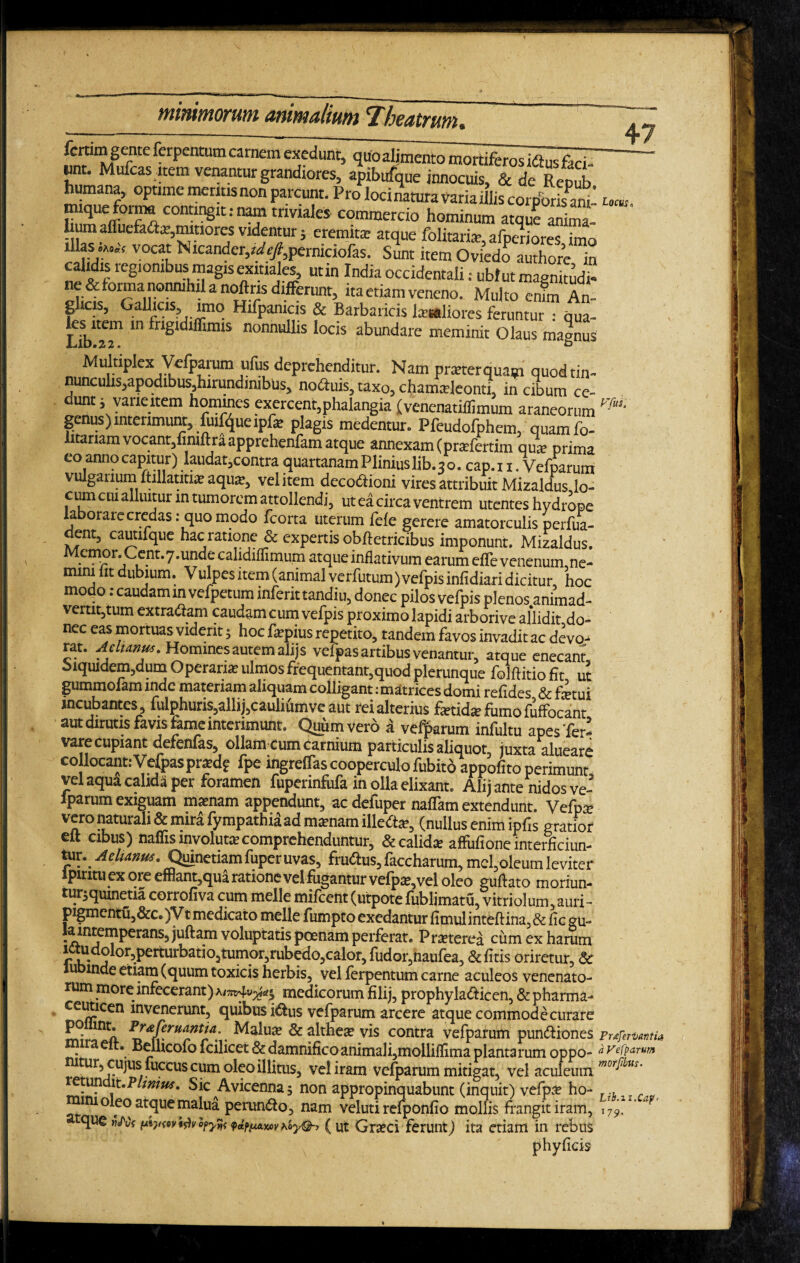 LiblT ‘n friS‘diinmiS nonnullis locis abundare meminit Olausmagnus Multiplex Vcfparum ufus deprehenditur. Nam pmerquaip quodtin- nuncuhs,apodibus,hirundinibus, noduis, taxo, chamaileonti, in cibum ce¬ dunt i yaneitem honunes exercent,phalangia (venenatiffimum araneorum m: genus) interimunt, fuifqueipfa: plagis medentur. Pfeudofphem, quamfo- litanam vocant,fimftraapprehenfam atque annexam (prsfertim qui prima eo anno capitur) laudat,contra quartanam Plinius lib. 3 o. cap. 11 Vefparum vulgauum ftillatitue aqua?, velitem decodtioni vires attribuit Mizaldus lo¬ cum cui alluitur in tumorem attollendi, ut ea circa ventrem utentes hydrope laborare credas: quo modo fcorta uterum fele gerere amatorculis perfua- dent, cautifque hac ratione & expertis obftetricibus imponunt. Mizaldus. Memor. Ccnt.y.undc calidiffimum atque inflativum earum effe venenum, ne- num lit dubium. Vulpes item (animal verfutum) vefpis infidiari dicitur, hoc modo: caudam in vefpetum inferit tandiu, donec pilos vefpis plenos animad¬ vertit,tum extraham caudam cum vefpis proximo lapidi arborive allidit do¬ nec eas mortuas vident; hoc fspius repetito, tandem favos invadit ac devo- rat. Aelianus. Homines autem alijs vefpas artibus venantur, atque enecant oiquidem,dum Operaria; ulmos frequentant,quod plerunque folftitio fit uc gummofam inde materiam aliquam colligant: matrices domi refides & fetui incubantes , fulphuris,allij,cauliumve aut rei alterius fetida; fumo fuffocant aut dirutis favis fame interimunt. Quum vero a vcfparum infultu apes fer- vare cupiant defenfas, ollam cum carnium particulis aliquot, juxta alueare collocant:Vefpas prxdf fpe ingreflas cooperculo fubito appofito perimunt vel aqua calida per foramen fuperinfiifa in olla elixant. Alij ante nidos ve- Iparum exiguam mamam appendunt, ac defuper nafTam extendunt. Vefpa; vero naturali & mira fympathia ad mamam illedte, (nullus enim ipfis gratior elt cibus) naflis involuta;comprehenduntur, & calida; affiifione interficiun¬ tur. Aelianus. Quinetiamfuperuvas, fru<3us,facc harum, mcl,oleum leviter Ipintu ex ore efflant,qua ratione velfugantur velpte,vel oleo guflato moriun- turjquinetia corrofiva cum meile mifcent (utpote fublimatu, vitriolum, auri- pigmentu,&c.)Vt medicato meile fumpto exedantur fimulinteftina, &ficgu- la intemperans, juftam voluptatis poenam perferat. Praterea cum ex harum litu dolor^perturbatio^umor,rubedo,calor, fudor,naufea, &fitis oriretur, & u inde etiam (quum toxicis herbis, vel ferpentum carne aculeos venenato¬ rum more infecerant) medicorum filij, prophyladticen, & pharma- ceuticen invenerunt, quibus iiSus vefparum arcere atque commodecurare mrintA P-Z££e-rua/>tia:. & althea; vis contra vefparum punftiones prtfematm aeit. BelhcOlOlcilicet&damnificoammalLmolliflimn nbnrarnm nnno- aVefparum iru°leo atque malua perun&o, nam veluti reiponfio mollis frangit iram, 7^ que M ixty<oy9$)vof>y%{ fctpfz&xfiv hay®-, ( ut Graeci ferunt) ita etiam in rebus phyficis Lib.zt.Cap- > '79*