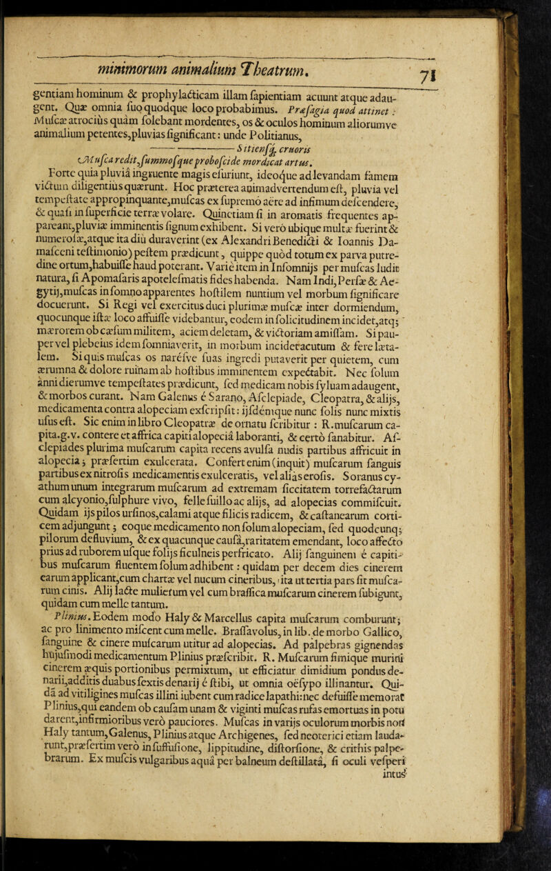 gentiam hominum & prophyla&icam illam fapientiam acuunt atque adau¬ gent. .Quas omnia luo quodque loco probabimus. Prdjagja. quod attwct: Mufca? atrocius quam folebant mordentes, os & oculos hominum aliorumve animalium petentes,pluvias lignificant: unde Politianus, ---Sittenffo critons CMufca reditjumnofyueprobofeide mordicat artus. Forte quia pluvia ingruente magis efiuriunt, ideoque ad levandam famem viftum diligentius quaerunt. Hoc praaerea animadvertendum elt, pluvia vel tempeflate appropinquante,mufeas ex fupremo aere ad infimum defeendere, <k quali mfuperficie terra; volare. Quinctiamfi in aromatis frequentes ap- pareant,pluvia: imminentis lignum exhibent. Si vero ubique mult£ fuerint & numerol^atque ita diu duraverint (ex Alexandri Benedidii & Ioannis Da- malceni telfimonio) pellem prodicunt , quippe quod totum ex parva putre¬ dine ortum,habuilfe haud poterant. Varie item in Infomnijs per mufeas ludie natura, li Apomafaris apotelefmatis fides habenda. Nam Indi,Perfe & Ac- gyti),mufcas infomnoapparentes hollilem nuntium vel morbum lignificare docuerunt. Si Regi vel exercitus duci plurimas mufc;je inter dormiendum* quocunque illas loco affuille videbantur, eodem infolicitudinemincidet,atq;' ma? rorem ob cadummilitem, aciem deletam, &vi<fforiamamiffam. Sipau- per vel plebeius idem fomniavent, in morbum incidetacutum & fere Leta¬ lem. Si quis mufeas os narefve fuas ingredi putaverit per quietem, cum asrumna de dolore ruinam ab holiibus imminentem expedtabit. Nec folum annidierumve tempellates praedicunt, led medicam nobis fyluam adaugent, & morbos curant. Nam Galenus e S arano, Afclepiade, Cleopatra, &alijs, medicamenta contra alopeciam exfcripfit: ijfdemque nunc folis nunc mixtis ufus eft. Sic enim inlibro Cleopatra de ornatu feribitur : R.mufcarum ca- pita.g.v. contere et affrica capiti alopecia laboranti, & certo fanabitur. Af- clepiades plurima mufearum capita recens avulfa nudis partibus affricuit in alopecia; praefertim exulcerata. Confert enim (inquit) mufearum fanguis partibus ex nitrofis medicamentis exulceratis, vel alias erofis. Soranus cy¬ athum unum integrarum mulcarum ad extremam ficcitatem torrefadlarum cum alcyonio,fulphure vivo, fellefuilloac alijs, ad alopecias commifcuit. Quidam ijs pilos urlinos,calami atque filicis radicem, & caftanearum cor ti¬ cem adjungunt ; eoque medicamento non folum alopeciam, fed quodeunq; pilorum defluvium, & ex quacunque caufa,raritatem emendant, loco affedto prius ad ruborem ufque folijs ficulneis perfricato. Alij fanguinem e capiti¬ bus mufearum fluentem folum adhibent: quidam per decem dies cinerem earum applicant,cum charta: vel nucum cineribus, ita ut tertia pars fit mufea¬ rum cinis. Alij ladle mulierum vel cum braflica mulcarum cinerem fubigtmt, quidam cum meile tantum. Plimus..Eodem modo Haly & Marcellus capita mufearum comburunt; ac pro linimento milcent cum meile. Braffavolus, in lib. de morbo Gallico, fanguine & cinere mulcarum utitur ad alopecias. Ad palpebras gignendas hujufmodi medicamentum Plinius praderibit. R. Mufearum fimique murini cinerem <yquis portionibus permixtum., ut efficiatur dimidium pondus de¬ narii,additis, duabus fextisdenarq eltibi, ut omnia oefypo illinantur. Qui- da ad vitiligines mufeas illini iubent cum radice lapathimec defuifle memorat Plinius,qui eandem ob caufam unam & viginti mufeas rufas emortuas in potu darent,infirmioribus vero pauciores. Mufeas in varijs oculorum morbis noh Haly tantum,Galenus, Plinius atque Archigenes, fed neoterici etiam lauda¬ runt, praffertim vero infuffufione, lippitudine, dillorfione, & crithis palpe¬ brarum. Ex mufeis vulgaribus aqua per balneum dellillata, fi oculi vefperi intud*