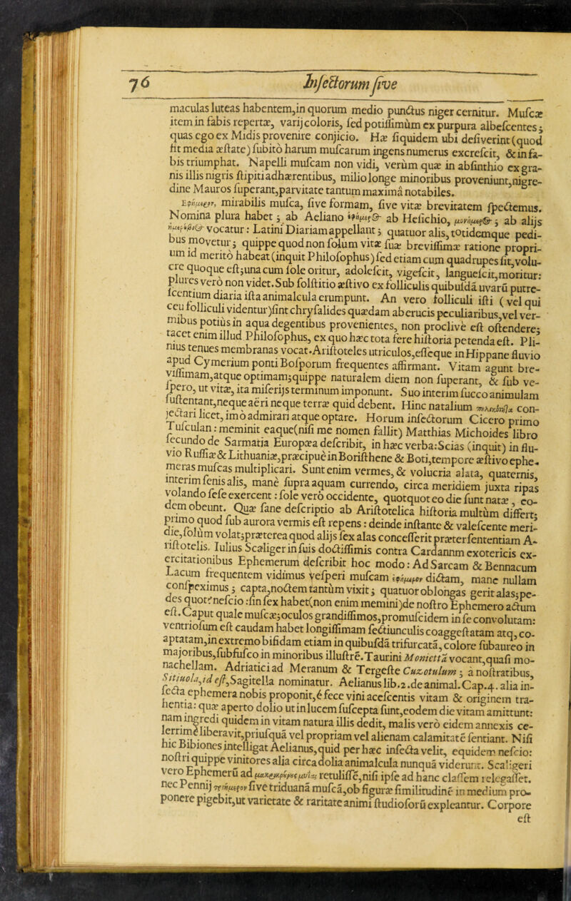 - ■ “ *• • ww———————*■* ■ ■ ” 1 • maculas luteas habentem,in quorum medio pundius niger cernitur. Mufcce item in fabis reperta?, varij coloris, led potiflimum cx purpura albefcentes • quas ego ex Midis provenire conjicio. Ha? fi quidem ubi defiverint (quod ht media allate) fubito harum mulcarum ingens numerus excrefcit &infa- bis triumphat. Napelli mufcam non vidi, veriim qua? in abfinthio ex era¬ nis illis nigris ftipitiadharentibus, miliolonge minoribus proveniunt nigre¬ dine Mauros fuperant,parvitate tantum maxima notabiles. 3 ° 'E.VflUt&r, mirabilis mufca, five formam, five vitat brevitatem fpeitemus Nomina plura habet i ab Aeliano ab Hefichio, ^ : ab aliis »^./8,©-vocatur: LatmiDiariamappellant; quatuoralis,totidcmque pedi¬ tus movetur; quippe quod non folum vita: fu* breviffimx ratione propri- 11111 merito habeat (inquit Philofophusjled etiam cum quadrupes fit volu- ci e quoque eft;unacum Iole oritur, adolefcit, vigefcit, languelcit,moritur: ,pl s vero non videt. Sub folftitio aiftivo ex folliculis quibuida uvaru putre- iccntiumdiarialftaammalculaerumpunt. An vero folliculi ifti (velqui r,f^ ° lcu l videntur)fint chry falides qua?dam ab erucis peculiaribus,vel ver- ...iDus potius in aqua degentibus provenientes, non proclive eft oftendere; acet enim illud Philofophus, ex quo hac tota fere hiitoria petenda eft. Pii- mus tenues membranas vocat.Ariftoteles utriculos,efTeque mHippane fluvio apud Cymerium ponu Bofporum frequentes affirmant. Vitam agunt bre- vnumam,atque optimam;quippe naturalem diem non fuperant. & fub ve- Jpeio, ut vita?, itamiferijs terminum imponunt. Suointerimfuccoanimulam ,e ^nnt’nCqU-ea5nnC<lUe terr* quid debent- Hinc natal‘um ■miMxinU Con- !£ tan hcet, imo admirari atque optare. Horum infedtorum Cicero primo r ultuJan • meminit eaque(nifi me nomen fallit) Matthias Michoides libro ecundo de Sarmatia Europxa defcribit, in ha?c verba.Scias (inquit) in flu¬ vio Kufiia?& Lithuama?,pra?cipueinBorifthene & Boti,tempore teftivo ephe. merasmufcasmultiplicari. Suntenim vermes,& volucria alata, quaternis ntenmlepisahs, mane fupra aquam currendo, circa meridiem juxta ripas voUndo fefe exercent: fole vero occidente, quotquot eo die funt nata?, eo¬ dem obeunt. Qua? fane defcnptio ab Ariftotelica hiftoria multum differt- p imo quod lub aurora vermis eft repens: deinde inflante & valefeente meri- die^olum volatipraitcrea quod alijs fex alas concefferit pmerfententiam A- i iitotehs. Iulius Scahger in ftns doffiffimis contra Cardannm exotericis ex¬ ercitationibus Ephemerum defcnbit hoc modo: AdSarcam &Bennacum i.acum frequentem vidimus yefperi mufcam dicftam, mane nullam compexirnusj capta,no(ftemtantum vixit; quatuor oblongas gerit alas-ce¬ des quot; nefeio :fin fex habet(non enim mem,ni)de noftro Iphcmeroalum qUnIc mu^-^oculos grandiffimos,promufcidem in fe convolutam: i entnolum eft caudam habet longiffimam fedtiunculis coaggeftatam atq co- aptatam,inextremobifidam etiam in quibufda triforcata,colore fubaureo in ma,onbus,fubfufcomminoribusilluftre.Tauriniil/cwc«2vocant,quafimo- S ai^'/cdnatlniad Meranum & Tergede Cuzotulum; dnoftratibus, '(■'% 0,Xd'fASagiteHa nominatur. AelianusIib.a.deanimal.Cap.a.aliain- ecta ephemera nobis proponit,6fece vini acefcentis vitam & originem tra- C” j*: ^ aPer,t0 doIl° uunlucem fufeepta funt,eodem die vitam amittunt: 1 ' 'f pc'quldcm 111 vltam natura illis dedit, malis vero eidem annexis ce- icrnmenberav-K^iufqga Vel propriam vel alienam calamitate fentiant. Nifi nlftvi 0nCS ‘nte!I'gat Aelianus,quid per hac infeda velit, equidemnefeio: olhjqmppevimtoresahacircadohaanimalculanunqua viderur.t. Scaligeri retulifTe,nifi ipfe ad hanc cladem releeaflet. ^«LCnmj VC tnduan* m^ca5ob figura fimilitudine m medium pro- p le pigebit,ut vailetate & raritate animi ftudioforu expleantur. Corpore eft