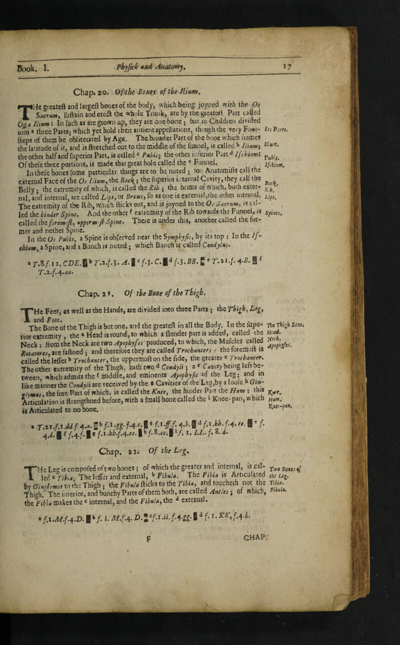 Chap* 20» of tbi Bones of the Ilium, TH^greatcft and largeft bones of the body, which being joyned with the Oi Sacrum, Main and eteft the whole Trunk, are by the greatdl Parc called Ojja Iltum: In fuch as are grown up, they arc one bone ; but m Children divided ' into » three Parts; which yet bold rheir ancient appellations, though the very Fo@t- la P.rM rteps of them be obliterated by Age. The broader Part of the bone which frames the latitude of it, and is fttetched out to the middle of the funnel, is called ^ Ilmw, the other half and fuperior Part, is called Puh'u-^ the other inferior Part ^ Ifchi^mX Of tbefe three portions, is made that great hole called the ' Funnel. • In ihefe bones fome particular things are to be noted ; tor Anatomifts call the external Face of the Os Ilium, the n4ck,; the fuperior internal Cavity, they call the - Belly; the extremity of which, is called the Rib ; the brims of which, both extern nal, and internal, are called Li^s, or Brows, fo as one is external,the other internal, Theextremity of the Rib, which Ricks out, and is joyned to the is cal¬ led the hinder Spine, And the other ^ extremity of the Rib towards the F unnel, is spines. called the foremnfi, upperm^fi Spine. There is under this, another called the for¬ mer and nether Spine. , ^ • r .u rr In the Os Pubis, a Spine isobferved near the Symphyjts, by its top : In the //- fhium a Spine, and a Bunch is noted; which Bunch is called Condylns. Tub’s. Ifcbiim. a r.s./.i 2. cM.i^ r.2./.3‘ A. I E ^ r.2i./. 4-^. I *J[ • 2i Chap*2». Of the Bone of the Thigh. 'Y'He Feet, as well as the Hands, arc divided into three Parts ; the Thigh, Leg, The Bone of the Thigh is but one, and the greatefl in all the Body. In the fupe- itie Thiih Bene tior extremity, the • Head is round, to which a Oender part is added, called the iwJ. Neck: from the Neck are twoproduced, to which, the Mufcles called  Retat&res, are faRned • and therefore they are called Trochanters: the foremolt is called the Icffet Trechanter,x\\z uppetrnoRon the fide, the greater « Trochanter. The other extremity of the Thigh, hath'two d Condyli; a being left be¬ tween which admits the ^ middle,and eminents Apophyfis the Leg; and in like manner the Condyli are received by the « Cavities of the Leg,by a loofe b Gtn^ chmus, the fore Part of which, is called the Knee, the hinder Part the Ham : this Articulation is ftrengthnedbefote, with a fmall bone called the > Knee-pan, which is Articulated to no bone. K^ec-pan. Chap* 22* Of the Leg, f . ' - . . -j . He Leg is compofed ott wo bones; of which the greater and internal, is cal- ^ led a Tihia-^ Theleffet and external, ^ tihuU. The FibU is Articulated the ug. by Ginolymos to rhe Thigh ; the Fibu/a Ricks to the Tibia, toucheih not the Tbia. Thi°h. The interior, and bunchy Parts of them both, arc called of which, the l^ibla makes the «internal, and the Fibula, (he ^ external. T