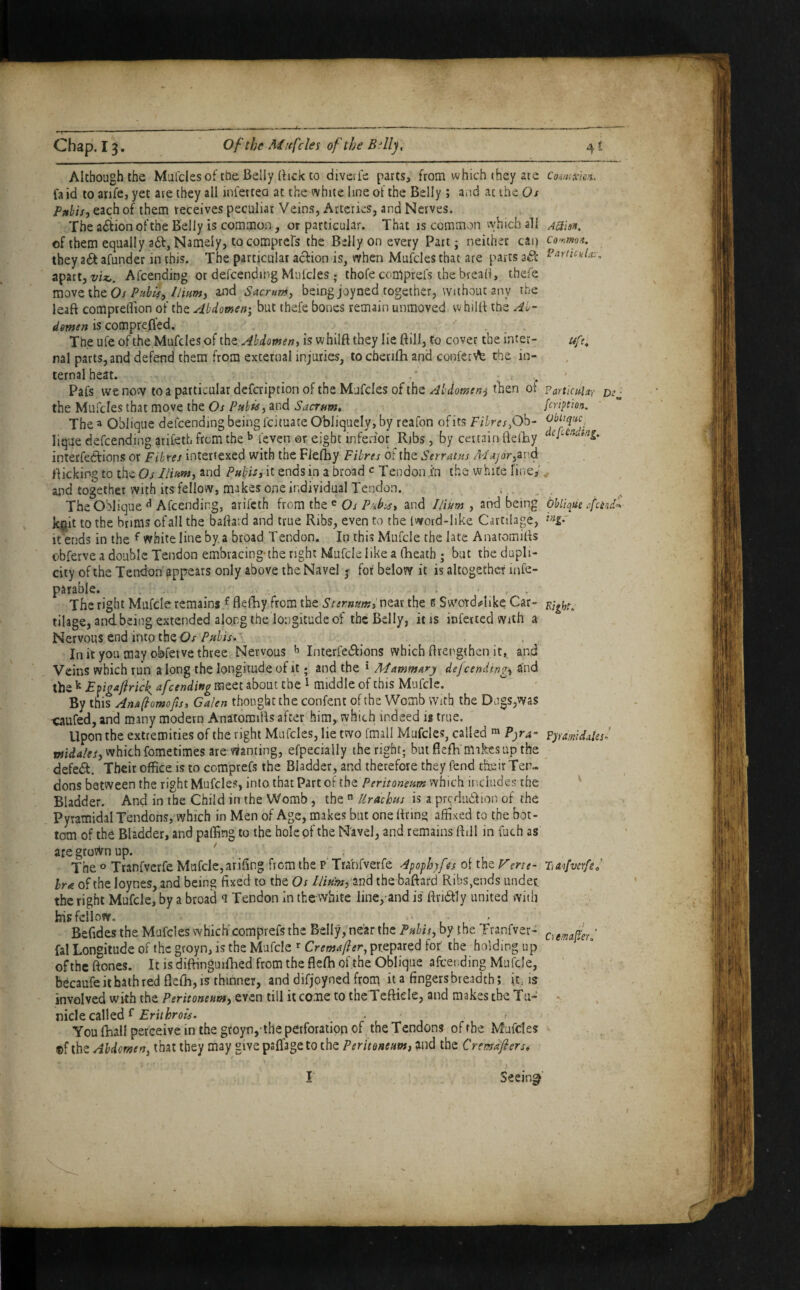Chap, 13. Of the Afafcles of the Bfllj, Although the Mufclesotthe Belly (bck to divcrle parts, from which they ate fa id to anfe, yet ate they all loiertea at the white line of the Belly ; and at the Os Pfthis-, each of them receives peculiar Veins, Arteries, and Nerves. The a6tion of the Belly is common, or particular. That is common vyhich all of them equally adf, Namely, to compreFs the Belly on every Part; neither can they a<5t afunder in this. The particular action is, when Mufcles that are parts a^c apart, viz,. Afcending or defcending Mulcles; thofe comprefs the bread, thefe raovzxhtOs Ptihis, llmmy and Sacrum, being joyned together, Without any rbe leaft compredion of the Abdomen^ but thefe bones remain unmoved whilB the Ai- demen is comprefled. . , The ufe of the Mufcles of iht Abdomen, is whilft they lie Bill, to cover the inter¬ nal parts,and defend them from external injuries, to cberilh and confe[\\: the in¬ ternal heat. ^ Pafs we now to a particular defcripcion of the Mufcles of the Abdomen^ then of the Mufcles that move the Os Pubis, and SacTum^ The a Oblique defcending being feituate Obliquely, by reafon of its Ob¬ lique defcending arifeth from the ^ feven or eight inferior Rjbs, by certain ftelBy interfedions or Fibres intertexed with the FJelBy Fibres of the Serratus Ad'ajor,iv.d flicking to theOj- Ilium, and Pubis jit ends in a broad c Tendon in the white fine,’ and together with its fellow, makes one individual Tendon. ;,. The Oblique ^ Afcending, arilcth from the Os P'^bss, and Ilium , and being k§it to the brims of all the baftavd and true Ribs, even to the Iword-like Cartilage, It ends in the ^ white line by a broad Tendon. In this Mufcle the late AnatomiBs obferve a double Tendon embracing-the right Mufcle like a (heath ; but the dupli¬ city of the Tendon appears only above the Navel ^ for below it is altogether infe- parable. . , . The right Mufcle remains ^ flefhy from the Sternum,x\t^x the e Swotdifiike Car¬ tilage, and being extended along the longitude of the Belly, it is iDfeiiedwith a Nervous end into the Ox, , Init you may obfeivethree Nervous ^ Interfedlions which Brengthcn it, and Veins which run a long the longitude of it; and the ^ Alammary dejeendingi and the ^ Eftgajirick^ afcending meet about the 1 middle of this Mufcle. By this Ana(bomoftsj Galen thought the confent of the Womb with the Dugs,was -caufed, and many modern AnatomiBs after him, which indeed is true. Upon the extremities of the right Mufcles, lie two fmall Mufcles, called P)rA- which fometimes are wanting, efpecially the right; but BeBi makes up the defedl. Their office is to comprefs the Bladder, and therefore they fend their Ten¬ dons between the right Mufcles, into that Part of the Peritoneum which includes the Bladder. And in the Child in the Womb, the  Urachus is a prcdudion of the Pyramidal Tendons, which in Men of Age, makes but one Bring affixed to the bot¬ tom of the Bladder, and paffing to the hole of the Navel, and remains Bill in fuch as are grown up. The o Tranfverfe Mufcle,arifing from the p Trabfverfe 4pofh)fes of the f^ene- Ira of the loynes, and being fixed to the Os Ilium fznd the baBard Ribs,ends under, the right Mufcle, by a broad ^ Tendon in the white line,-and is' Bridly united with his fellow. ' L ' Befides the Mufcles which'comprefs the Belly/ne'ar the Pubis, by the Tranfver- fal Longitude of the gtoyn, is the Mufcle Cremafter, prepared for’ the holding up of the Bones. It isdiBinguifhed from the BeBi of the Oblique afcending Mufcle, becaufeitbaihred fle(h,i5 thinner, and difjoyned from fingers breadth; it, is involved with the Peritoneum, even till it came to the TeBkle, and makes the Tu- nicle called 1 You fliali perceive in the gtoyn,'the perforation of the Tendons of the Mufcles ®f the Abdomen, that they may give psffageto the Peritoneum, and the Cremdfiers^ Seeing 4^ Coiim xica. AQisn, Co'nma. PartiCkl.r:\ Ufe, Particular feriptioa. Oblique^ defcending. j * Oblique efeind^ ing.- Kight. 1 ?yramidales'> Tia'ifverfef Crmafier,' I
