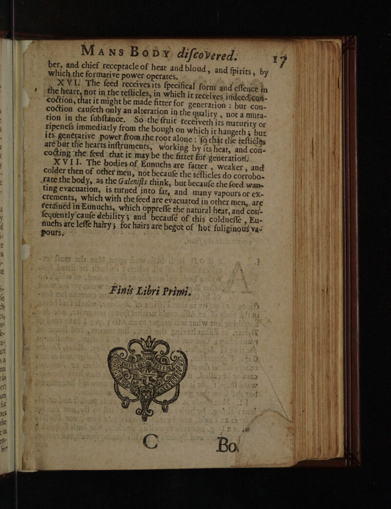 ber, and chief receptacle of heat and bloud, and fpirits, by which,the formative power Operates, XVI! The feed receives its fpecifical form the heart, not in the tefticles, in which it receives indeedicon- codtion, that it might be made fitter for generation : bur con- coction caufeth only an alteration in the quality , not a muta- tion in the fubftance, So the fruit receiveth its maturity or ripenefs immediatly from the bough on which it hangeth 3 bur its. genérative power from the root alone ; fo thar tlie tefticlés are but the hearts inftruments, working by itsheat, and con« cotting ‘the feed that it may be the fitter for gerieratiowi, XVII. The bodies.of Eunuehs are fatter , weaker, and colder then of other men, not becaufe the téfticles do corrobo= and eflencé in into fat, and many vapours or ex- crements, which with the feed are evacuated in other men, are ATOR | chk Sw wanaer 2 ae z a SAARI AR LED NORA SEC STC PLCNASES ns aa aw Homan i “ ines os moms = a OPA RIAA aes SH