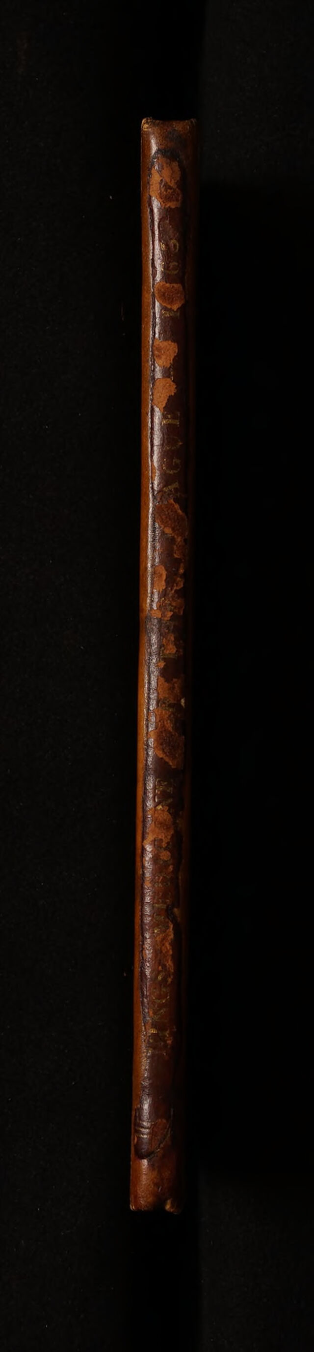 No text description is available for this image