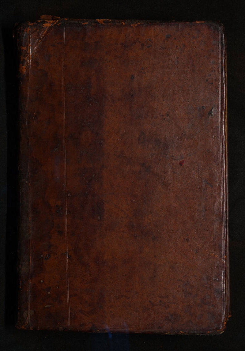 No text description is available for this image