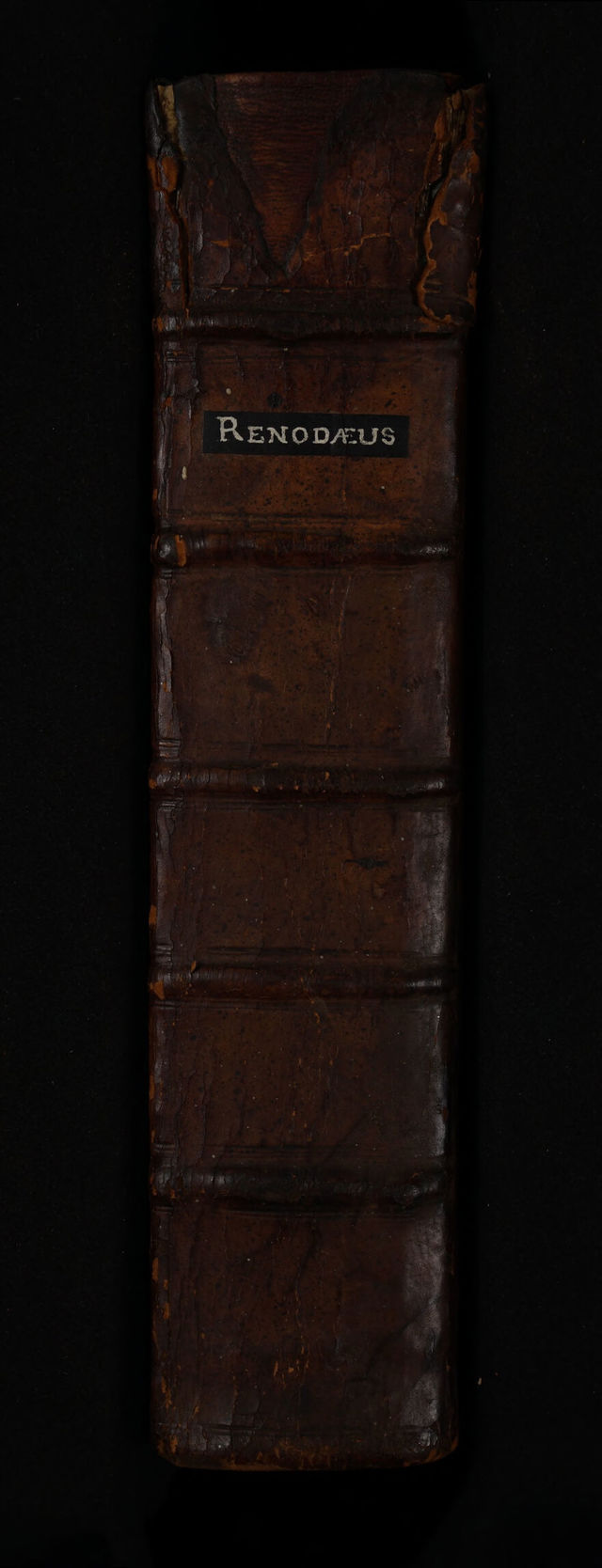 digitised image 2