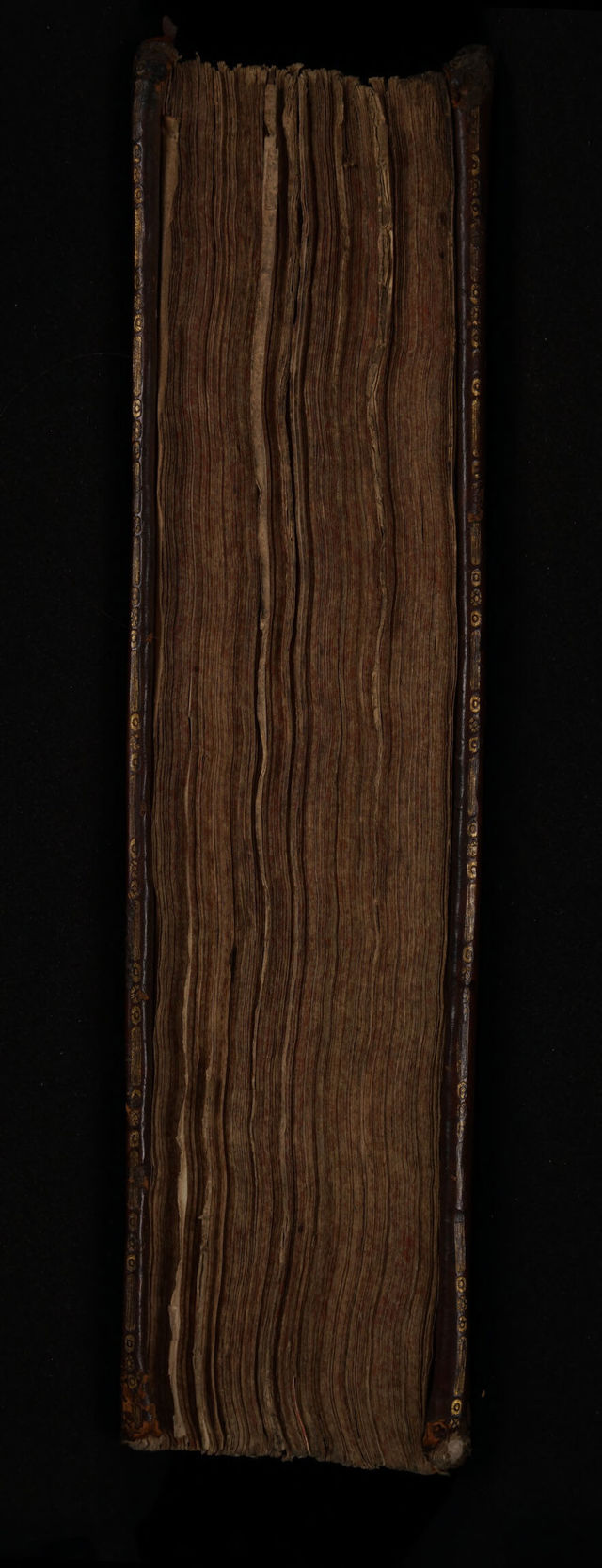 digitised image 3