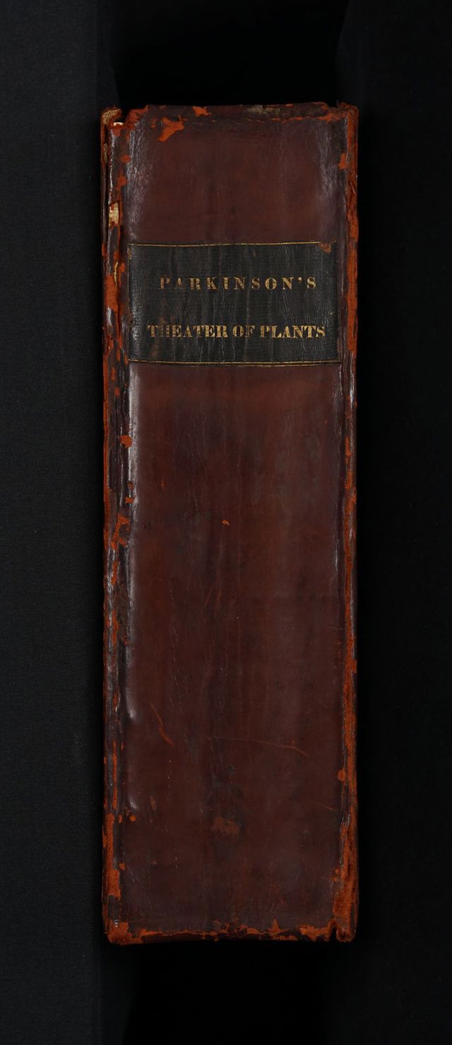 digitised image 2