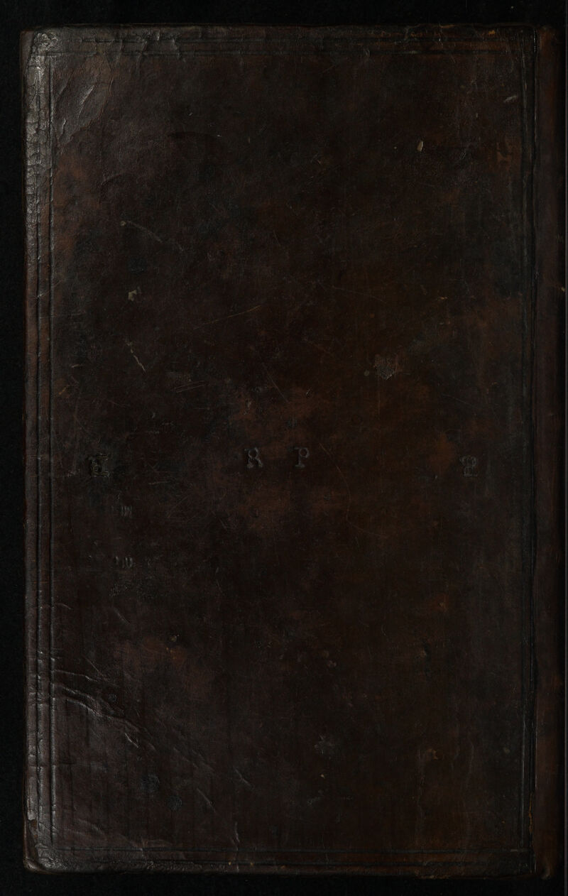 No text description is available for this image