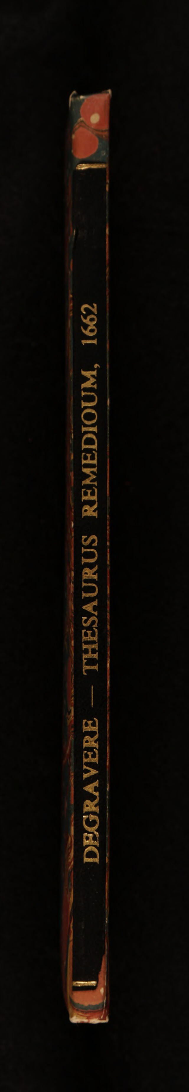 No text description is available for this image