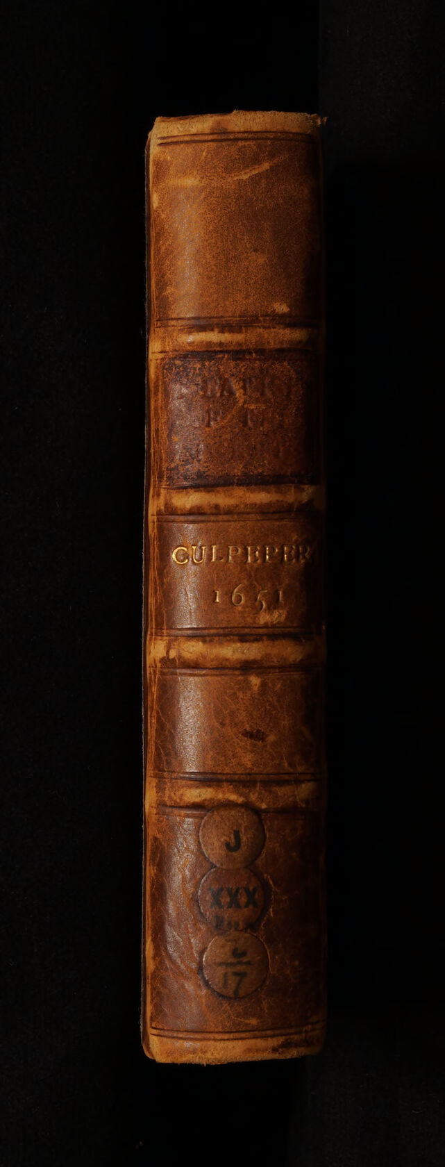 No text description is available for this image