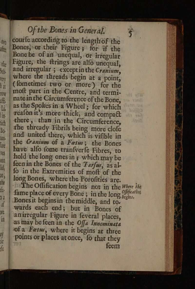 cour{e:accordirig toithe lenethoF ‘the Bones,»or their Figure’; for Gf ‘the Bone be: of an ‘unequal, or irtegular Figure; the ftrings are alfo unequal, and irregular 5 exceptinthe Cranium, where the threads begin at a point, (fometimes two or more) for the moft part in the Centre, and termi- nateinthe Circumference of the Bone, as'the Spokes ‘inia Wheel + for which réafon it’s more thick, and compa there, than in the Circumference, the thready Fibrils being more clofe and united there, which is vifible in the Cranium of a°\Feiws; the Bones . + y begins. Bonesit beginsin the middle, and to. wards each end; but in Bones of anirregular Figure in feveral places, as may befeen in the Off2 Innominata of a Fetus, where it begins at three points or places at once, {0 that they | feem