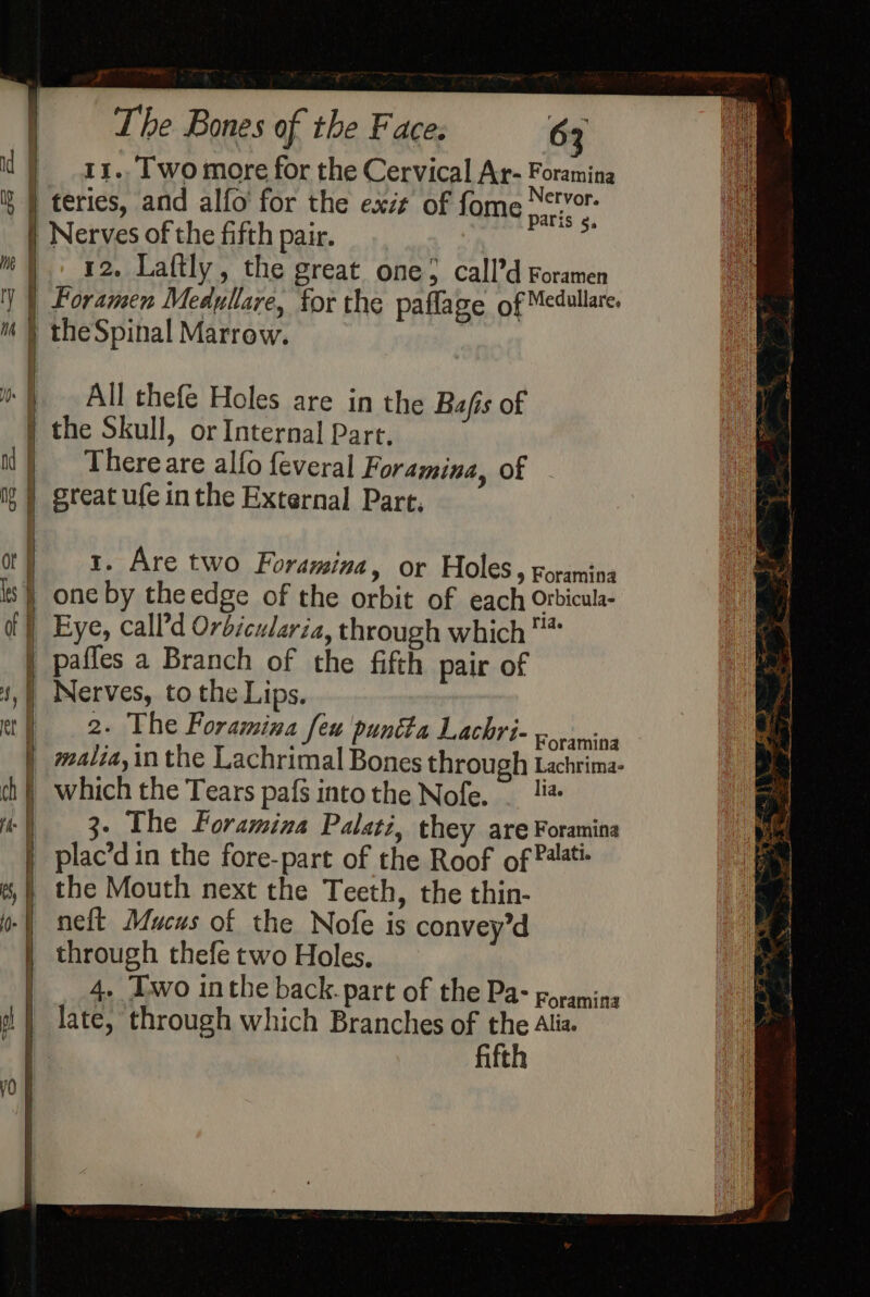 11.. [wo more for the Cervical Ar- Foramina ' paris 5. 12. Laftly, the great one} call’d Foramen Foramen Medyllare, for the paflage of Medullare. theSpinal Marrow. All thefe Holes are in the Bafis of There are alfo {evera] Foramina, of great ufe in the External Part, 1. Are two Foramina, or Holes, roramina 2. The Foramina feu punita Lachri- acts 3- The Foramina Palati, they are Foramina plac’d in the fore-part of the Roof of Palati- the Mouth next the Teeth, the thin- neft Mucus of the Nofe is convey’d through thefe two Holes. 4. Two inthe back.part of the Pa- goramina fifth