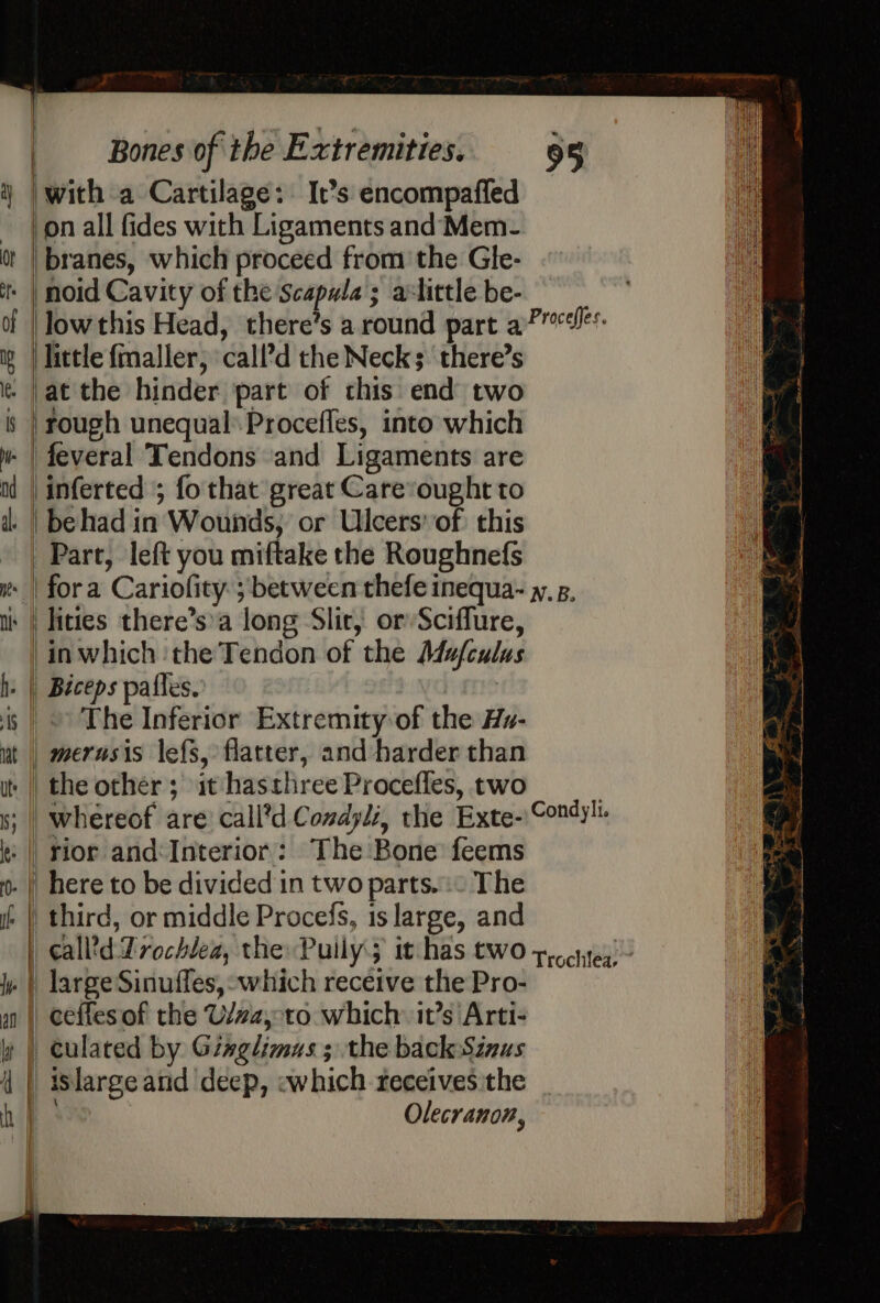 | feveral Tendons ‘and Ligaments are for a Cariofity. ; between thefe inequa- y. g. lities there’s’a long Slit, or Sciffure, in which ‘the Tendon of the Adufculus The Inferior Extremity of the Hz- islarge and deep, ewhich receives ithe . Olecranon,