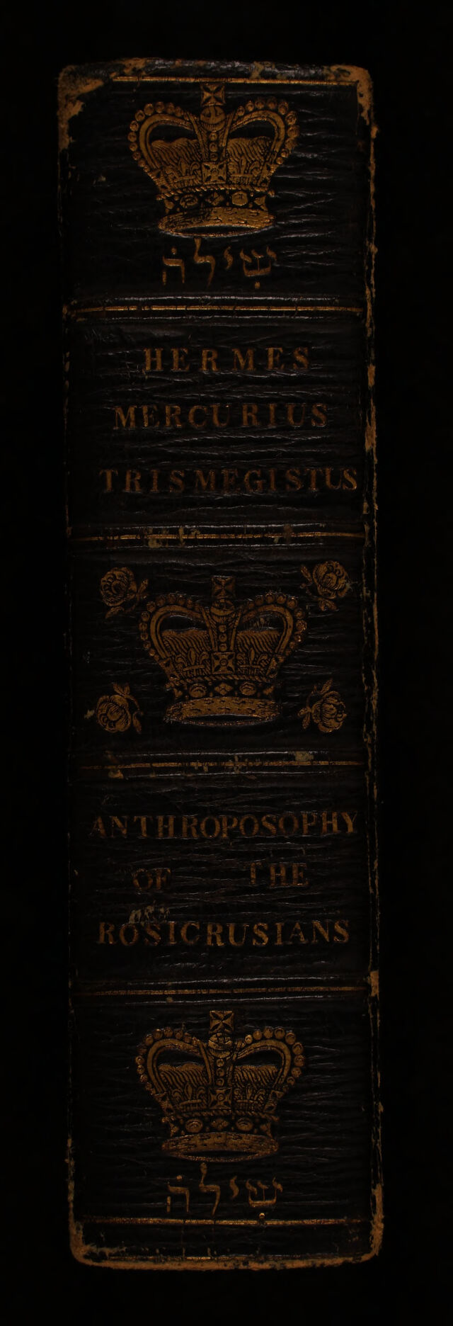 No text description is available for this image