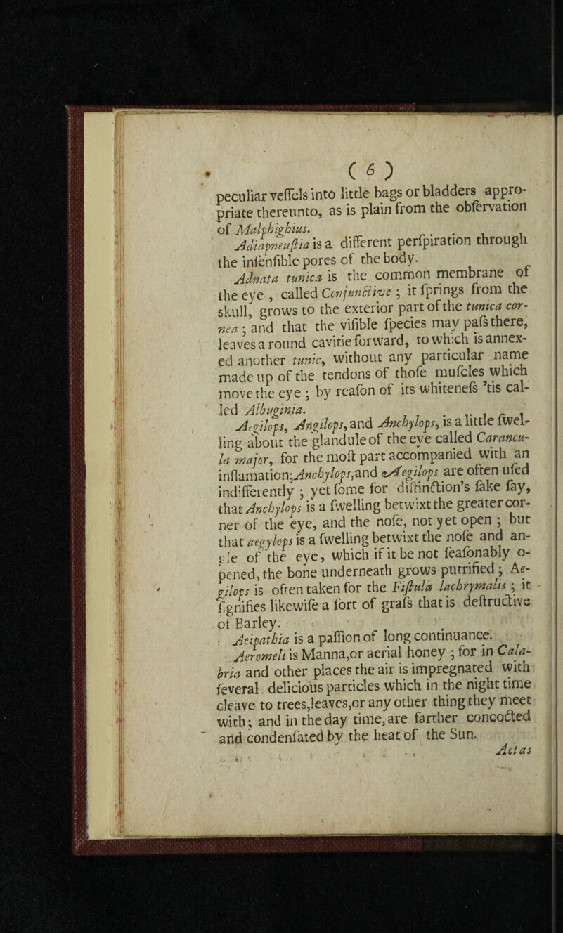 peculiar veffels into little bags or bladders appro¬ priate thereunto, as is plain from the oblervation of Mahh'whius. . . . Adiapneuflia is a different perforation through the infenfible pores cf the body. Adnata tunica is the common membrane Q the eye , called ConjunEtiye ; it fprings from the si ull grows to the exterior part of the tunica cor¬ nea and that the vifible fpecies may pals there, leaves a round cavitie forward, to which is annex¬ ed another tunic, without any particular nanie made up of the tendons of thole mufcles which move the eye j by realon of its whitenels tis cal¬ led Albuginja. . r , r , A^ilops, An^ilops, and Anchylops, is a little (wel¬ ling about the glandule of the eye called Carancu- la Major, for the moft part accompanied with an inftamauon-,Anchylops^and tsfegilops are often uled indifferently ^ yetldme for dilliniftions lake f*y, that Anchylops is a fwelling betwixt the greater cor¬ ner of the eye, and the nofe, not yet open , but that atgylops is a fwelling betwixt the nofe and an- i-Ie of the eye, which if it be not feafonably o- pened, the bone underneath grows putrified j Ae- g-jlops is often taken for the Fifiula lacbrjmalis; it fgnifies likewile a fort of grals that is deltructiva of Earley. ' . Adpathia is a paffion of long continuance. Aeromeli is Manna,or aerial honey ; for in Cala¬ bria and other places the air is impregnated with feveral delicious particles which in the night time cleave to trees,leaves,or any other thing they meet with; and in the day time, are farther conco&ed and condenfated by the heat of the Sun. ' Act as