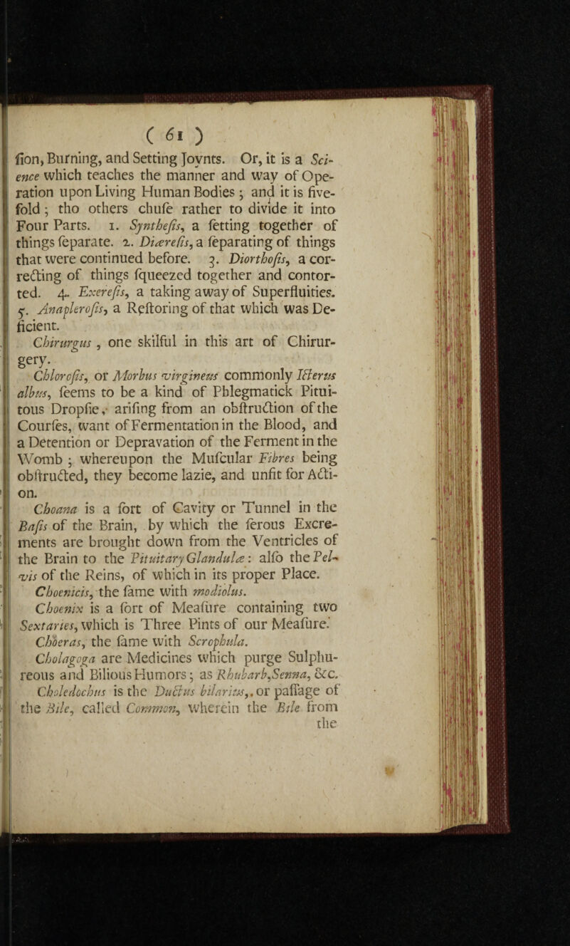 lion, Burning, and Setting Jovnts. Or, it is a Sci¬ ence which teaches the manner and way of Ope¬ ration upon Living Human Bodies ; and it is five¬ fold ; tho others chufe rather to divide it into Four Parts, i. Synthejis, a fetting together of things feparate. z. Diarefis, a feparating of things that were continued before. 3. Diorthofis, a cor¬ recting of things fqueezed together and contor¬ ted. 4. Exerefis, a taking away of Superfluities, y. An after ofis, a Reftoring of that which was De¬ ficient. Chirurg-us, one skilful in this art of Chirur- gery.  Chlorcfisy or Adorbus <virgineus commonly Idler us albus, feems to be a kind of Pblegmatick Pitui- tous Dropfie,- arifing from an obftruCtion of the Courfes, want of Fermentation in the Blood, and a Detention or Depravation of the Ferment in the Womb 5 whereupon the Mufcular Fibres being obftruCted, they become lazie, and unfit for Acti¬ on. Choana is a fort of Cavity or Tunnel in the Bafis of the Brain, by which the ferous Excre¬ ments are brought down from the Ventricles of the Brain to the P it uit ary Glandule: alfo thePe/- vis of the Reins, of which in its proper Place. Cboenicis, the fame with modiolus. Cboenix is a fort of Meafure containing two Sextanes, which is Three Pints of our Meafure.' Ch'oeras, the fame with Scrofhula. Cholagoga are Medicines which purge Sulphu¬ reous and Bilious Humors; as Rhubarb,Senna, &c. Choledoch us is the Ductus bilarius,, or paflage ot the Bile, called Common, wherein the Bile from the