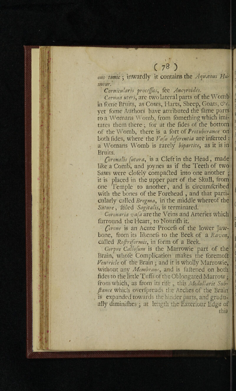 I • * ous tunic • inwardly it contains the A^uaous Hu¬ mour. Cornicularis procejfius, fee Ancyroides. Cornua uteri, are two lateral parts of the Womb in fbme Bruits, as Cows,.Harts, Sheep, Goats, &c. yet fome Authors have attributed the fame parts to a Womans Womb, from fomething which imi¬ tates them there • for at the fides of the bottom of the Womb, there is a fort of Protuberance on both fides, where the Vafa deferentia are inferted : a Womans Womb is rarely bipartite, as it is in Bruits. Qoronalis futura, is a Cleft in the Head, made like a Comb, and joynes as if the Teeth of two Saws were clofely compacted into one another ; it is placed in the upper part of the Skull, from one Temple to another, and is circumfcribed with the bones of the Forehead , and that parti® cularly called Bregma, in the middle whereof the Skture, (tiled Sagitalis, is terminated. Coronaria vafa are the Veins and Arteries which furround the Heart, to Nourifh it. Cor one is an Acute Procefs of the lower Jaw¬ bone, from its likenefs to the Beek of a Raven, called Rofir if or mis, in form of a Beek. Corpus Callofum is the Marrowie part of the Brain, whole Complication makes the foremoft Ventricle of the Brain • and it is wholjy Marrowie, without any Membrane, and is faftened on both fides to the little Tuffs of the Obiongated Marrow; from which, as from its rife , this Medullarie Sub¬ fiance which overfpreads the Arches of the Brain is expanded towards the hinder parts, and gradu¬ ally dimini flies; at length the Exteriour Edge of