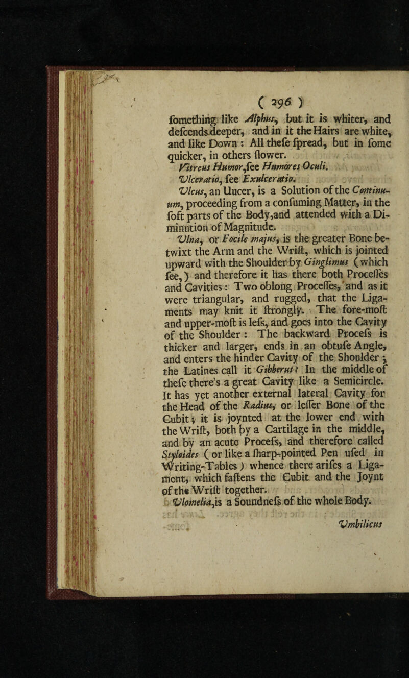 ( 39* > fomething like Alfhus, but it is whiter, and defcends deeper, and in it the Hairs are white, and like Down : All thefe fpread, but in fome quicker, in others flower. Vitrcus Humor ,fe Humor es Oculi. Viceratio, fee Exulccratio. Vic us, an Uucer, is a Solution of the Continu¬ um, proceeding from a confuming Matter, in the foft parts of the Body,and attended with a Di¬ minution of Magnitude. Vina, or Facile majus, is the greater Bone be¬ twixt the Arm and the Wrift, which is jointed upward with the Shoulder by Ginglimus (which fee,) and therefore it has there both Procefles and Cavities : Two oblong Proceffes, and as it were triangular, and rugged, that the Liga¬ ments may knit it ftrongly. The fore-mo ft and upper-moft is lefs, and goes into the Cavity of the Shoulder: The backward Procefs is thicker and larger, ends in an obtufe Angle, arid enters the hinder Cavity of the Shoulder \ the Latines call it Gibber us t In the middle of thefe there’s a great Cavity like a Semicircle. It has yet another external lateral Cavity for the Head of the Radius, or lefler Bone of the Cubit \ it is joynted at the lower end with the Wrift, both by a Cartilage in the middle, and by an acute Procefs, and therefore called Styloides ( or like a Iharp^pointed Pen ufed in Writing-Tables) whence there arifes a Liga¬ ment, which faftens the Cubit and the Joynt pf th« Wrift together. Vlomelia,is a Soundnefs of the whole Body. Vmbilicus