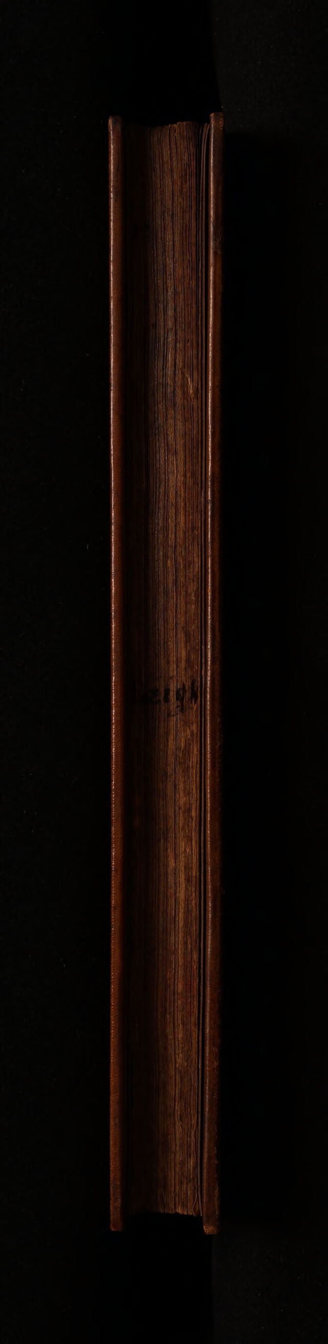 digitised image 3