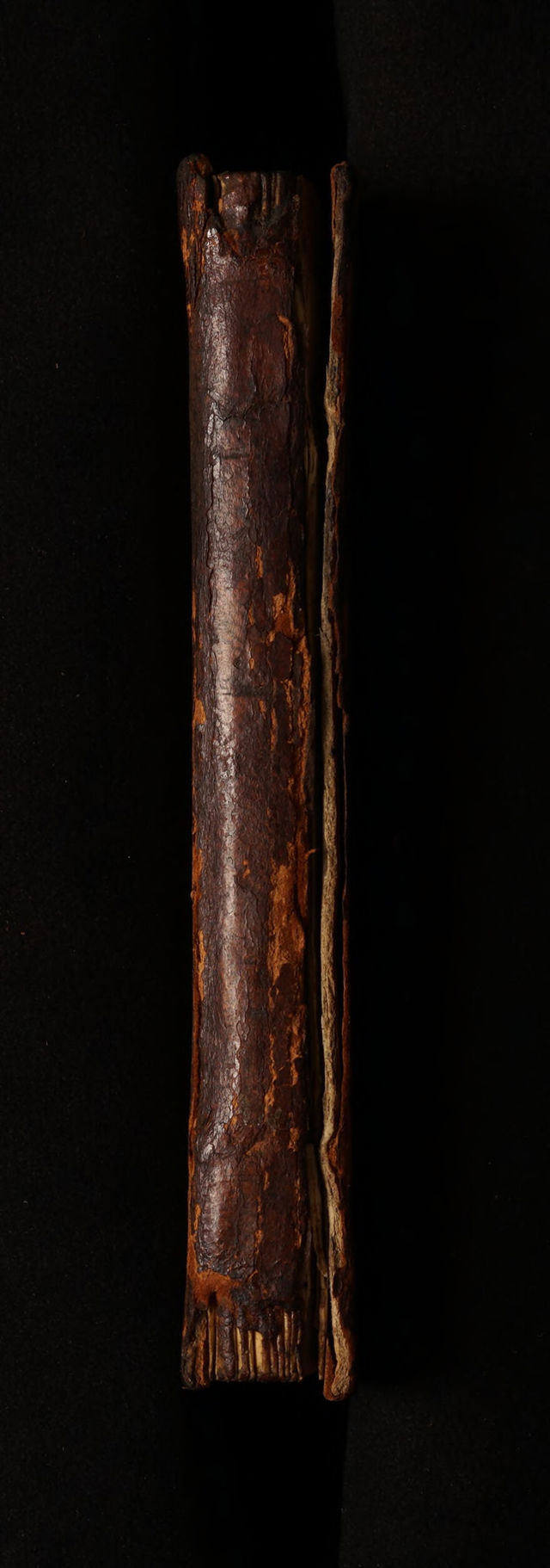 digitised image 2