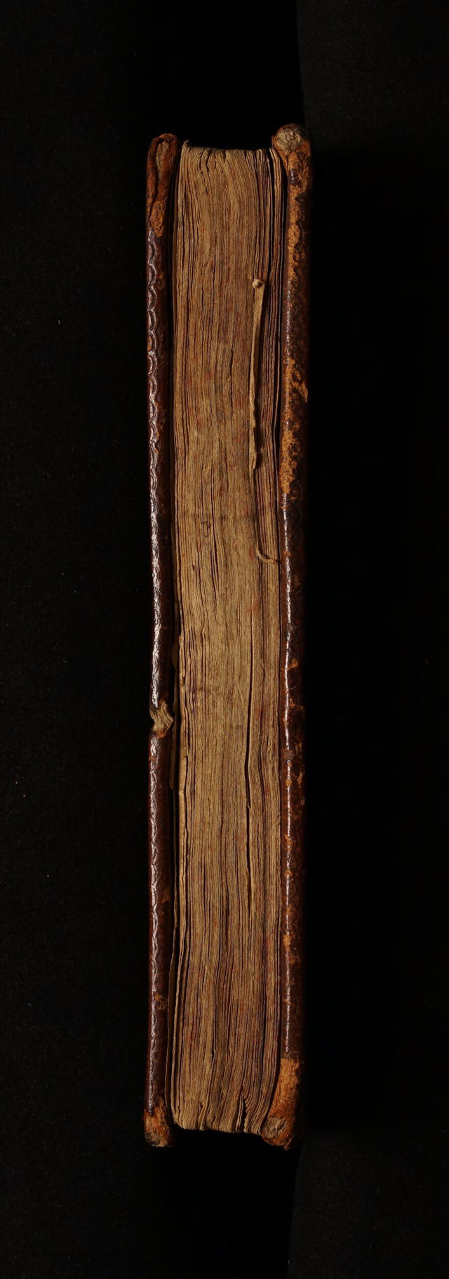 digitised image 3