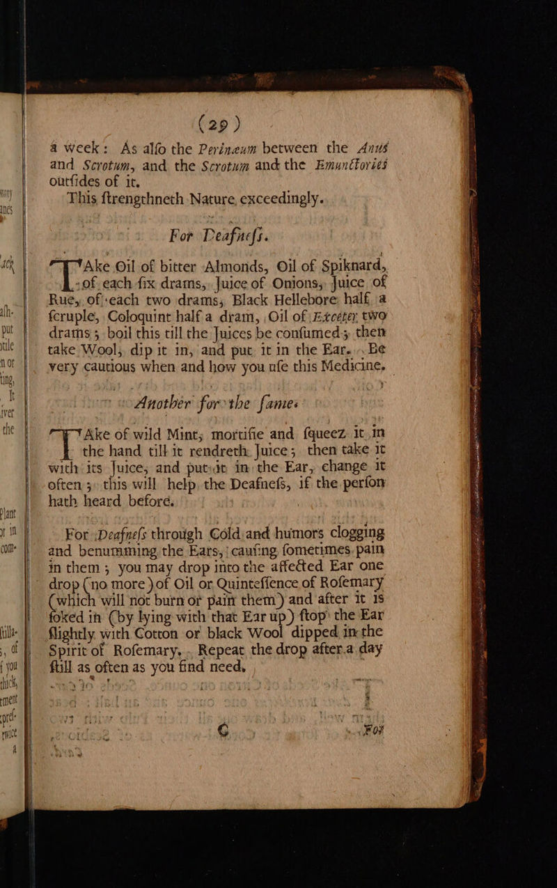                        (29) a week: As alfo the Perineum between the Anus and Scrotum, and the Scrotum and the Emunctories outfides of it. | This {trengthneth Nature, exceedingly.  For Deafness. “| “Ake Oil of bitter Almonds, Oil of Spiknard, of each fix drams,. Juice of Onions, Juice of _.| Rue, ofeach two drams; Black Hellebore: half a ihe ! fcruple, Coloquint half a dram, ,Oil of Exceter two ; drams 5 boil this till the Juices be confumed; then tle | take Wool, dip it in, and puc it in the Ear... Be very cautious when and how you nfe this Medicine,   The f Another forthe fames fe ; TAke of wild Mint; mortifie and {queez it In | the hand tilkit rendreth Juice; then take 1¢ with its Juice; and putidt im the Ear, change it | often; this will help. the Deafnefs, if the perfon | hath heard before. = a S For Deafne(s through Cold:and humors clogging com |} and benumming, the Ears, cauting. fometimes, pain in them ; you may drop into the affected Ear one drop (no more ) of Oil or Quintefience of Rofemary bec will not burn or pain them) and after it 15 oked ih (by lying with that Ear up) ftop: the Ear tilt | Slightly with Cotton or black Wool dipped in the |, Spirit of Rofemary,. Repeat the drop after.a day {jo |) fill as often as you find need, G        