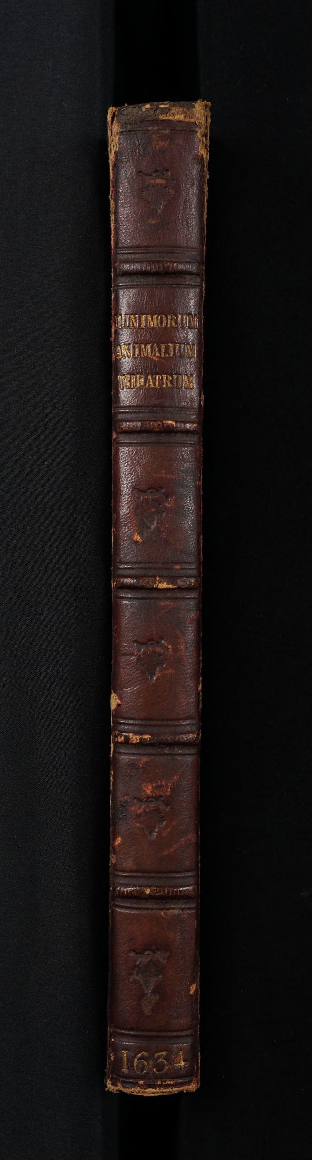 digitised image 2