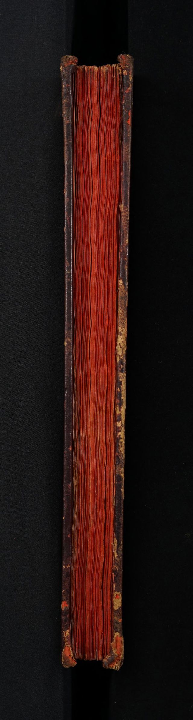 digitised image 3
