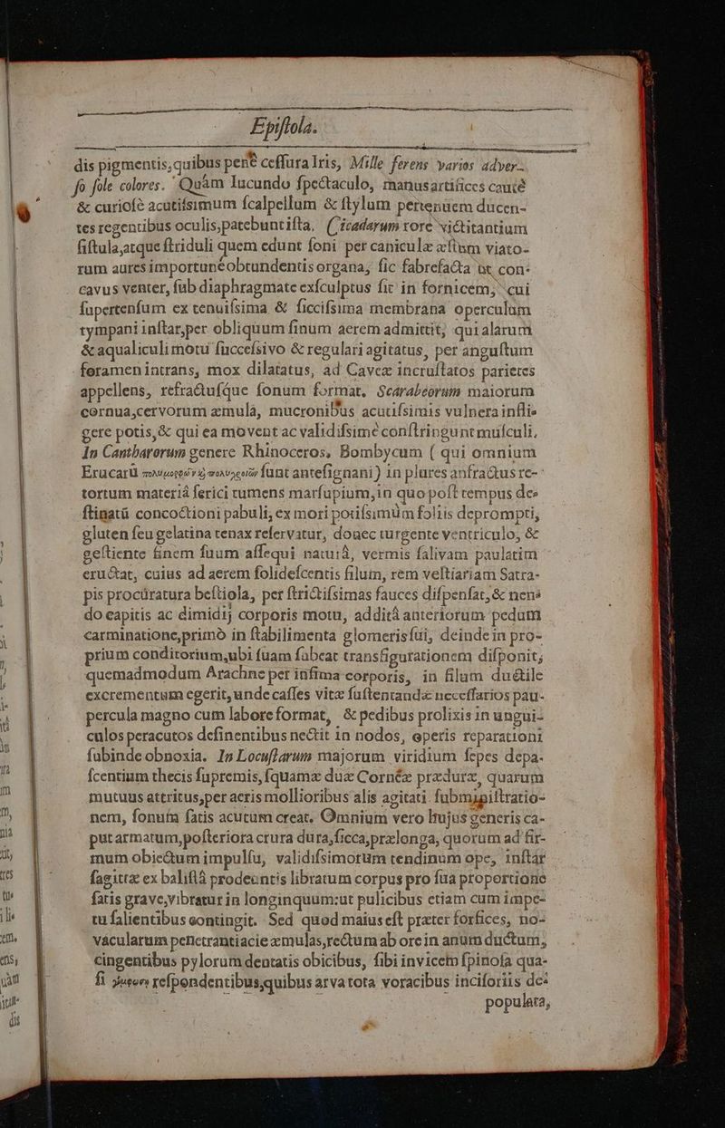 i — Epiftola. dis pigmentis, quibus pene ceffura Iris, Mille ferens yarios adyer-. fo fole colores. Quam Iucundo fpcctaculo, manusartificcs cauce - &amp; curiofé acutifsimum fcalpellum &amp; ftylum pertenücm duücen- tes regentibus oculis,patebuntifta, (cadarum rore victitantium fiftala;atque ftriduli quem edunt foni. per caniculz xttum viato- rum aurcs importunéobtundentis organa, fic fabrefa&amp;a ut con: cavus venter, fub diaphragmate exfculptus fit in fornicem;' cui fupertenfum ex tenuifsima &amp; ficcifsima membrana operculum tympani 1nftar,per obliquum finum aerem admittit; quialarum &amp; aqualiculi motu füccefsivo &amp; regulari agitatus, per anguftum appellens, refra&amp;ufque fonum format. Scarabeorum maiorum cornua,cervorum zmulà, mucronibus acutifsimis vulnerainflis gere potis,&amp; qui ea movent ac validifsimé conflringunt mufculi. 1n Cantbarorum genere Rhinoceros, Bombycum ( qui omnium tortum materiá ferici tumens marfupium,in quo poft rempus dee ftinatü concoctioni pabuli; ex mori poifsimum foliis deprompti, gluten feu gelatina tenax refervatur, doaec wurgente ventriculo, &amp; geltiente fincm fuum affequi nacura, vermis falivam paulatim eructat, cuius ad aerem folidefcentis filum, rem veltiariam Satra- pis procüratura beítiola, per ftri&amp;tifsimas fauces difpenfat,&amp; nens do capitis ac dimid1j corporis motu, addità anteriorum pedum carminatione,primo in ftabilimenta glomerisíui, deindein pro- prium conditorium,ubi fuam fabcat transfigurationem difponit; quemadmodum Arachne per infima corporis, in filum du&amp;ilc excrementum egerit, unde caffes vit fuftenranda neceffarios pau- percula magno cum labore format, &amp; pedibus prolixis in ungui- culos peracutos definentibus nectit 1n nodos, operis reparationi fubinde obnoxia. Is LocufJarum majorum viridium fepes depa. Ícentium thecis fupremis, fquama due Cornéz przdurz, quarum mutuus attritus;per aeris mollioribus alis agitati. fubmigittratio- nem, fonuíu fatis acutum creat. Omnium vero ltujus generis ca- putarmarum,pofleriora crura dura,ficca,prxlonga; quorum ad fir- mum obic&amp;um impulfu, validifsimorum tendinum ope, inftar fagittz ex baliflà prodeontis libratum corpus pro fua proportione fatis grave,vibratur in longinquum:ut pulicibus etiam cum impc- tu falientibuseontingit. Sed quod maius eft prater forfices, no- vácularum penctrantiacie xmulas,re&amp;um ab orein anum ductum, cingentibus pylorum dentatis obicibus, fibi invicem fpinofa qua- fi juton refpondentibusquibus arva tota voracibus inciforiis de: populata,
