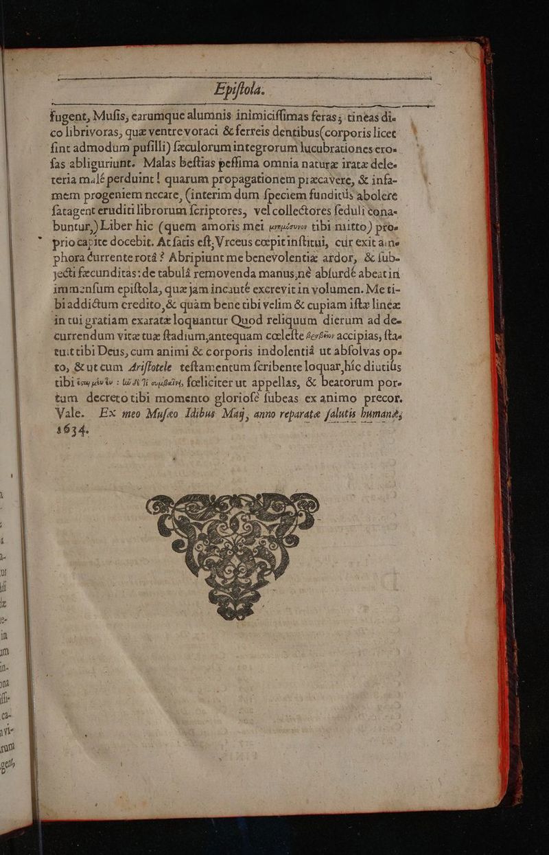 — — e ——ÁÀ— T t7 - Epiftola. co librivoras; que ventre voraci &amp; ferreis dentibus(corporis licet fint admodum pufilli) fxculorum integrorum lucubrationes ero» fas abliguriunt. Malas beflias peffima omnia natura iratx dele- teria malé perduint ! quarum propagationem przcavere, &amp; infa- mem progeniem necare, (interim dum fpeciem funditis abolere fatagent eruditi librorum fcriptores, velcollectores feduli cona- buntur) Liber hic (quem amoris mel we tibi niitto) pto prio capite docebit. At fatis eft, Vrceus coepitinftitui, cur exit ane hora Currenterotá * Abripiunt me benevolentiz ardor, &amp; íub- jeéti fecunditas: de tabulá removenda manus;né abfurdé abestin immznfum epiftola, qux Jam incaute excrevit in volumen. Me ti- biaddi&amp;um credito, &amp; quàm bene dbi velim &amp; cupiam iftz linex in tui gratiam exaratt loquantur Quod reliquum dierum ad de- currendum vitz tuz ftadium,antequam coaelefte 4e&amp; accipias; fta« euit tibi Deus, cum animi &amp; corporis indo]entiá ut abfolvas op» to, &amp; ut cum friffotele: teftamentum fcribente loquar,híc diutiüs tibi £e jéviv : 65 1i evident, foeliciter ut appellas, &amp; beatorum por- tam decretotibi momento gloriof? fubeas ex animo precor. ale. Ex meo Muf&amp;o ldibus Mag, anuo reparate falutis buman; 1634. ;