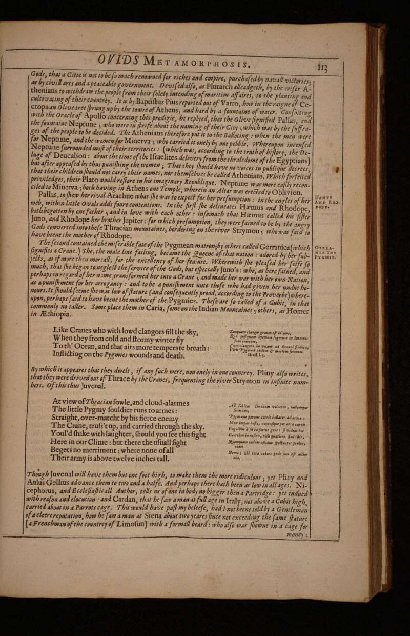 or/©i M ET AMOKPHOSI5, renowned for riches and empire, furch^fedby mvalvia^ ^havillarts and a peaceMe government. Devifedalfo,asvLzv6halleadmL hythe mferl afairef, to the planting and ceZT^ttZT'''^- PimreporfedoatofvJo, herein the fatgneof cZ with the Oraolelf towreofh.t\ita%, and hard by a fount aine of Water. Confulting Ihuntt n 'nL^^^^^ >’^^¥yedjhat the Olivefignified Pallas, aZd Zelof theoef^^^ ' W / of their City ,whichwas bphe fufra- NeSeT; it ^omenforUmtt^i, who earned tt onely by one pehblt. whereupon incenfed ^Q^zxtst^furromdedmoft of the,r territories^: [which was, according to the truth of hiLy the De¬ luge of Deacahon: about the time of the Ifraelitcs delivery fromthethraledomeofthe Ejyptians) ff ^torappeafed by thus pumjhtng the women ■, That they fhouldhave no voices inpublimJlecrees that their children^ouldnot carry the,r names, nor themfelves be called kthtniznl Which forfeited friviUdgesy their Plato wouldrefiore in his imaginary Republiaue Nenmn#* ^ ri ^ «W« Miac™ ii AA„, rV, -Ul!l2^Z7.Zd&:r ^z{h%,tojhew her rival hezchne whatjhewM toexpeclfor herprefumption: inthe angles of her web within little Ovals adds foure contentions. In the firfi Jhe delineated Hxxa\is and RhodoDe both begottenby one father., and in love with each other: infomuch that Hxmus calkdhdiL ]ano,andKao^o^tther bmher]a^net: forwhichprefumption, theywerefainedtobeby the [try Thefecondcentamedthemiferablefateofthe Pygmean matron-Jby others calledGemniczlwhich fignifies a Crane.) She, the male line failing, became the ^eene oh hat nation : adored byTrfl ]elis as if more then mortaU for the excellency of her feature. Wherewith fhe pleafed her felfe Co much, that Jhe began to neglelt thefervice of the Cods, but effeciaSy Juno's: who, as here fainedhnd perhaps tnregardofher name transformed her into a Crane • and made her war with her Ln Nation as apuntjhment for her arrogancy ; and to be apunijhment unto thofe who had given her undue ho- nours.ltJhouldfeeme fhewm low effature (andconfequentlyproud,according Zthe froverbe\where- upon,perhaps fqid to have beene the mother of the.^Ygveaes. Thefe'are fo called of a Cubit in that commonly notaUer. SomeplacetheminCzm, fomeon thelndiLaMountaines . others hs’UoZr tn -Ethiopia. ’ ' ^ Like Cranes who with lowd clangors fill the sky. When they from cold and ftormy winter fly To th Ocean, and that airs more temperate breath: Inflicting ontho Pygmies wounds and death. Tyenejuam cUny^ gruum efi in sure Sfuat pofitjuxm hyemerufuforunt fp itnmen~ fnm imbremy Cum clangorehA volant Oceani fluent a, Vtru 'Tygm^it c*dem ft mortem ferentet, Iliad 1.3. By which it appeares that they dwelt, if any fuch were, non bnely in one countrey. Pliny dfo writes At view oiThracimfoy/lQ^zcid cloud-alarmes The little Pygmy fouldier runs to armes : Straight, over-matcht by his fierce enemy The Crane, trufi’tup, and carried through the sky. YouPd fliake with laughter, (hould you fee this fight Here in our Clime; but there the ufuall fight Begets no merriment ^ where none of all Their army is above twelve inches tall. f- ^ •.Ad fuhitass Thraeum velucres j nubemaue fonotam, ^ parvus currit heliater adarma Max impar hofii, taptuflyue per aera curvis Vnguibus a flevd fertur grue ; fl videos hoc Gentibus in noftrit, rifu (juatiere. SediUic, Sliaanfluam eadem aflidue Jpeffantur preeltay ridet Nxmo 5 ubi tota cohort pede non ejl altior mo. Thoughjmenzlwill have thembut one foot high, to make them the more ridiculous ■ yet Pliny and Aulus Gellius advance them to two and a halfe. And perhaps there hath been as low 'in all ages. Ni- cephorus, and Ecclefiafiicall Author, tells as of one inbody no bigger then a Partridge: yet indued with reafon and elocution • and Cardan, that he faw a man at full age in Italy, not above a Cubit high carried dout in a Parrots cage. This would have paflmybeleefe, hadi notbeenetoldby a Gentleman ofacleerereputatio»,how he faw aman at Sieaz about two yeares fmee not exceeding the fame fiature [aFrenchmanoftheesuntrey of Limofm) with a formadbeard-, whoalfo was fboWne in a cage for Hxm V 5 And Rho- Dop i. Ge RRA- N 1 A The Pygm'ie.